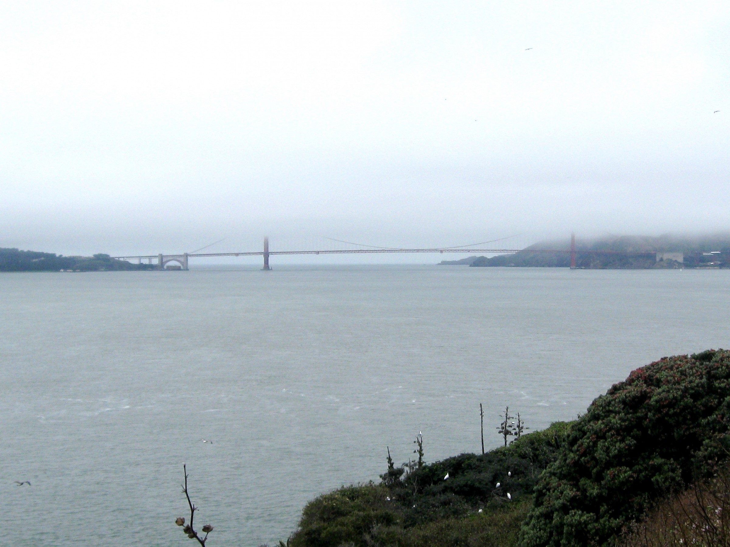Golden Gate, san Francisco