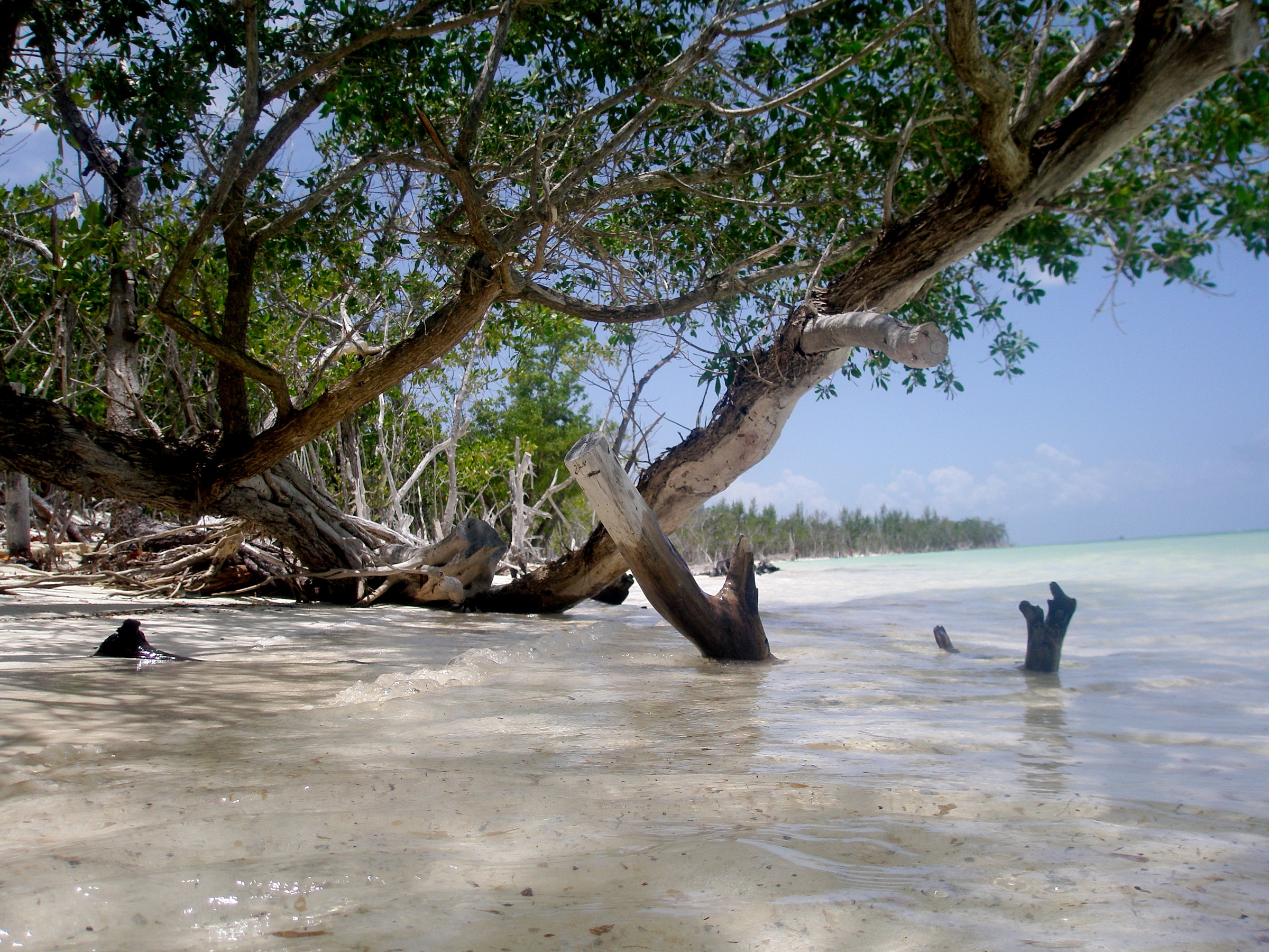 Spiaggia bianca di Varadero