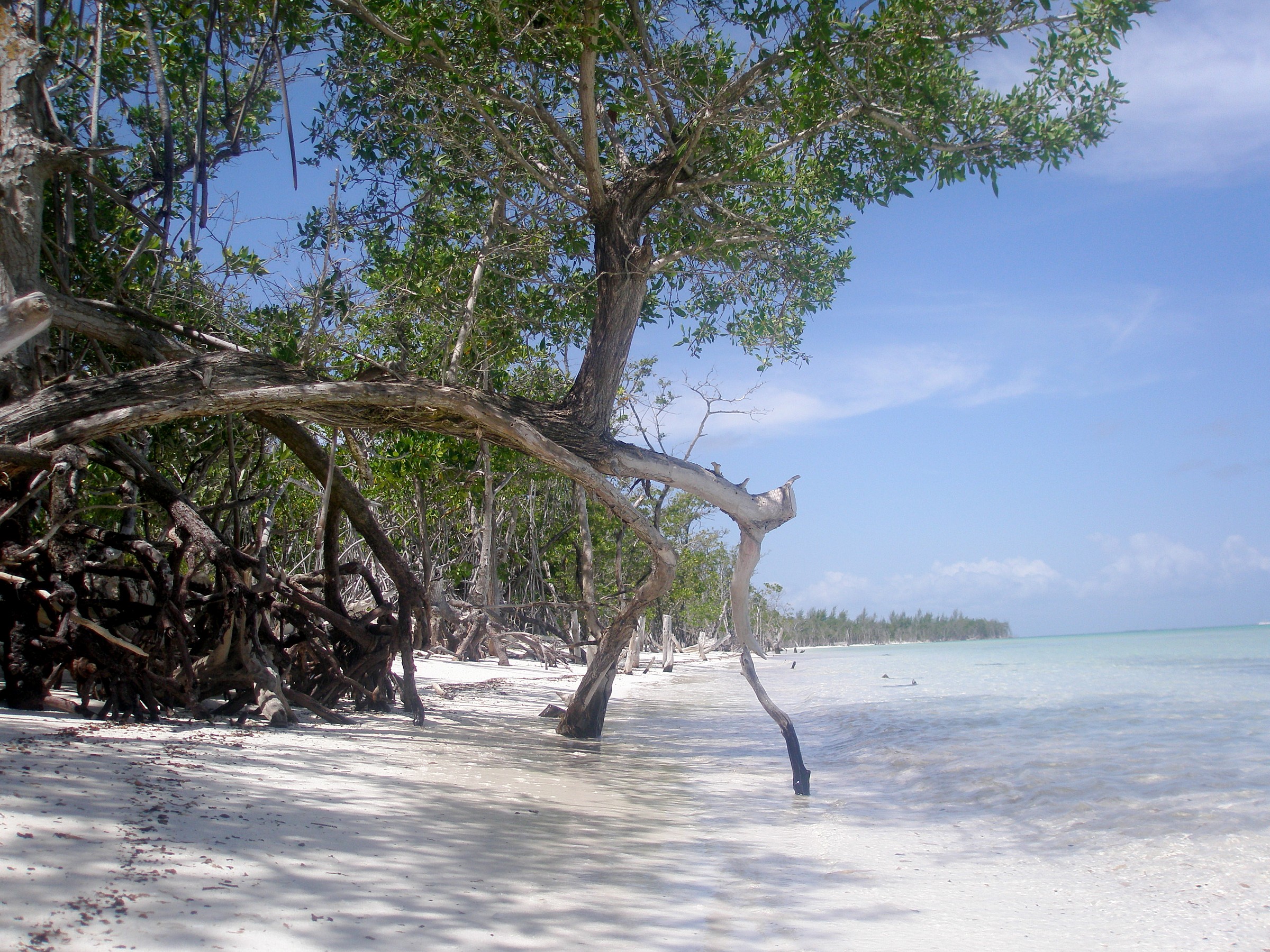 Spiaggia bianca di Varadero