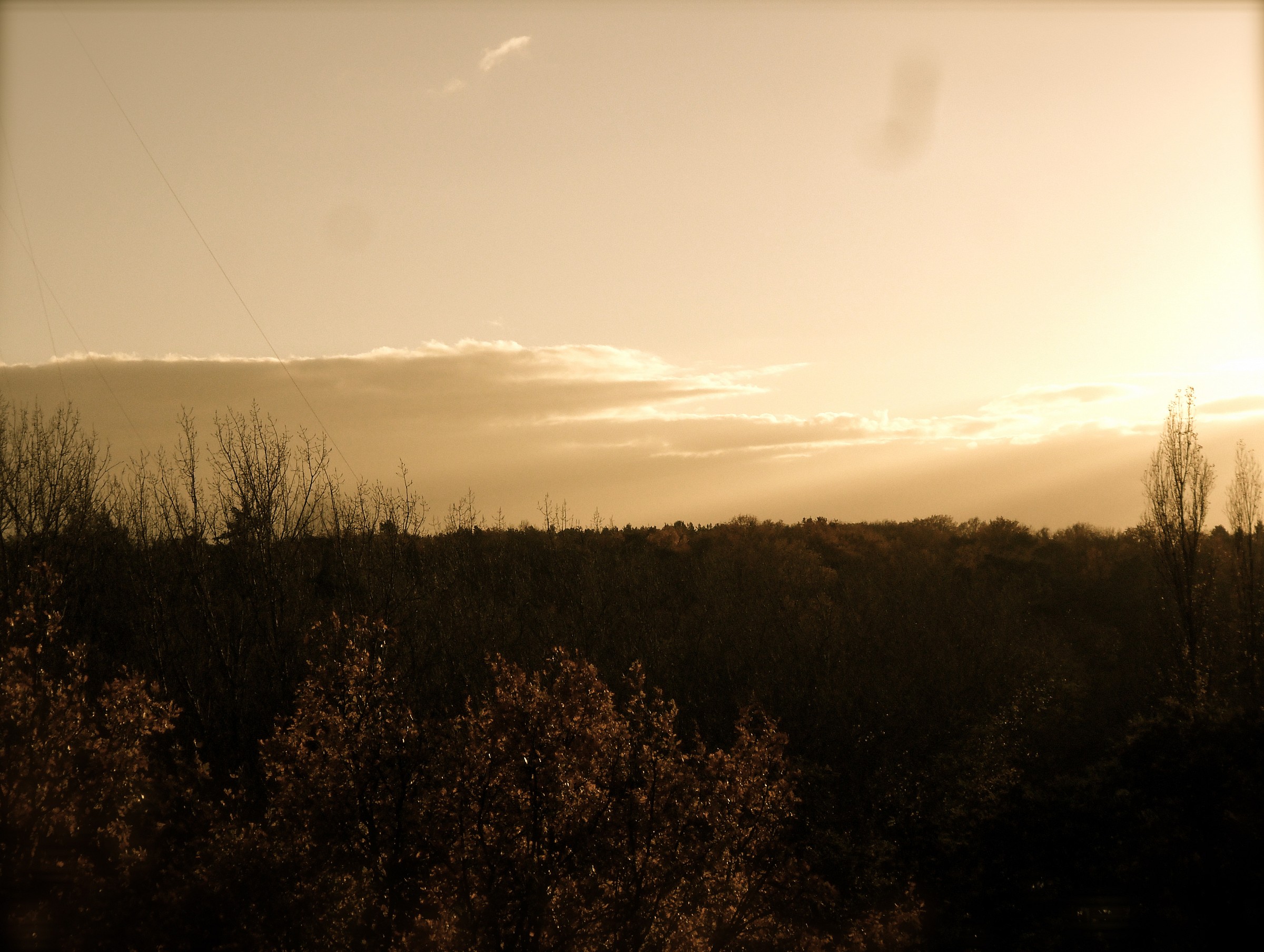 paesaggio autunnale dalla periferia di Berlino