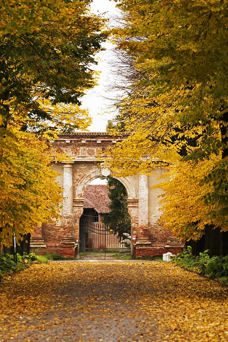 Bevilacqua (VR) - photo by season