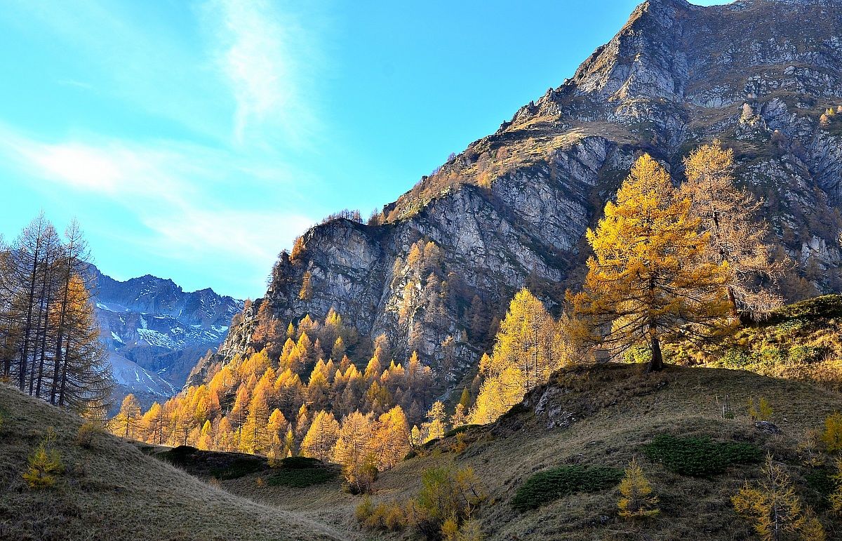 Autumn at devero