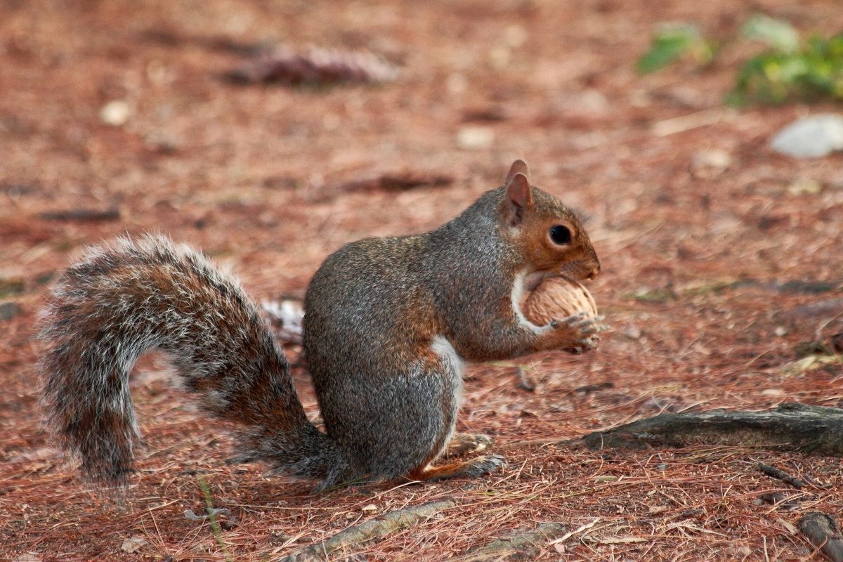 almeno la ricompensa per tutte ste corse.... :)
