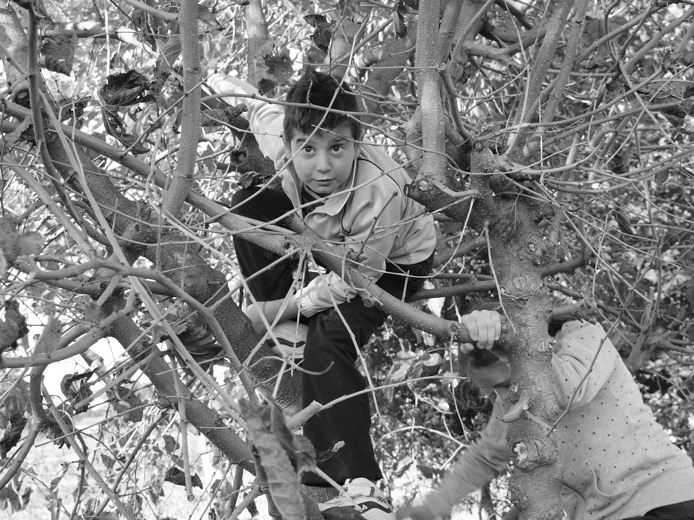 Susi and Alessio on mulberry