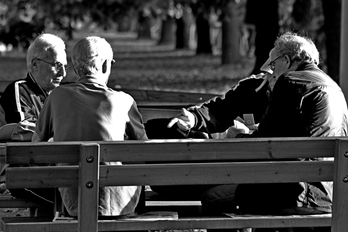 an afternoon at the park 1