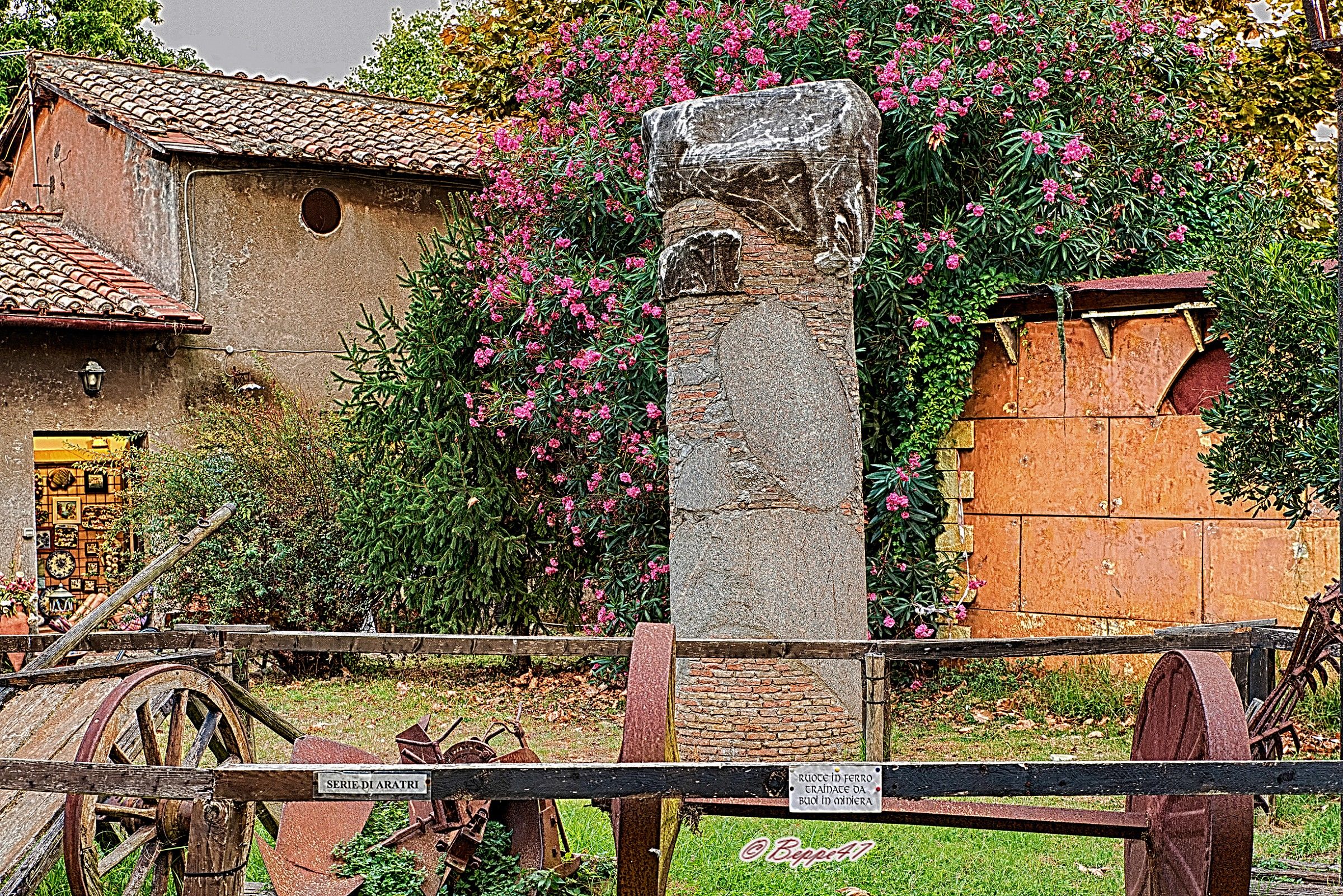 Inside the castle Santa Severa in bloom