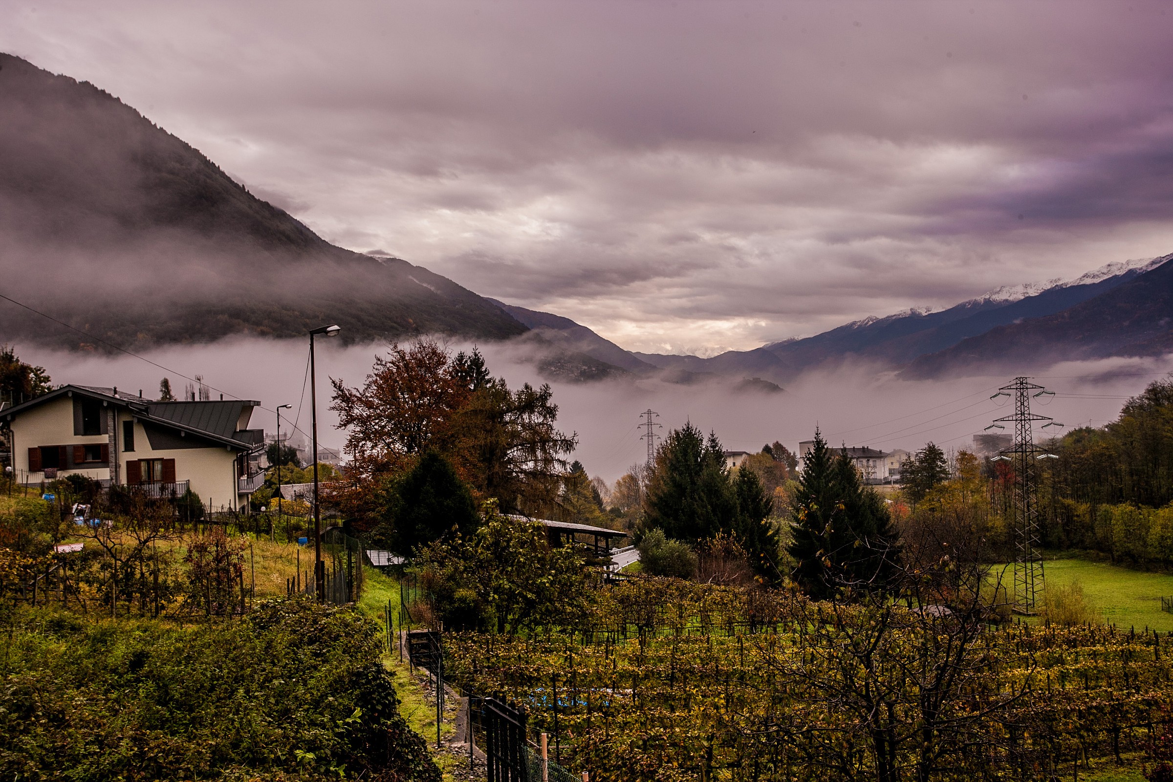 Fog in Valtellina