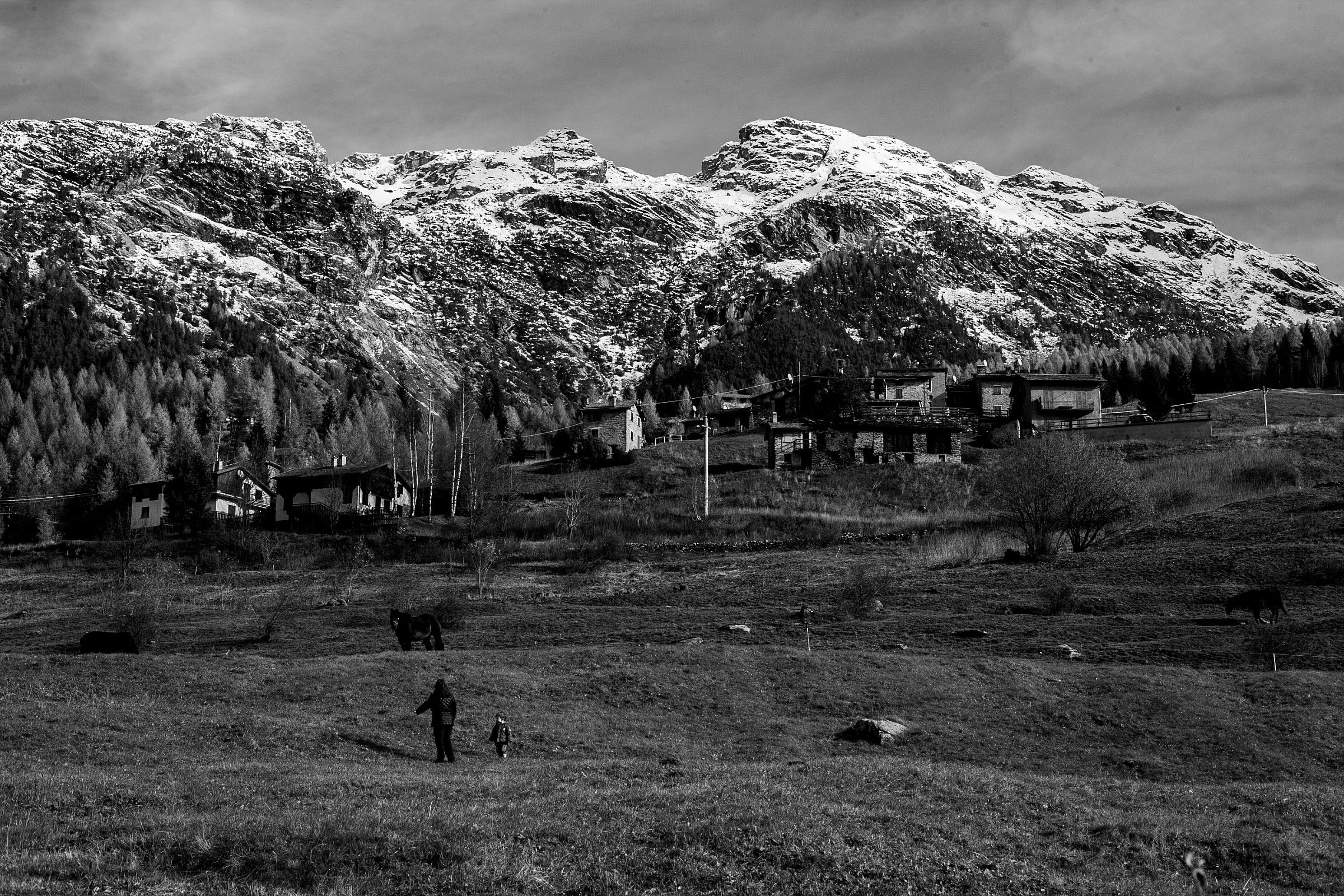 Valtellina - Valmalenco