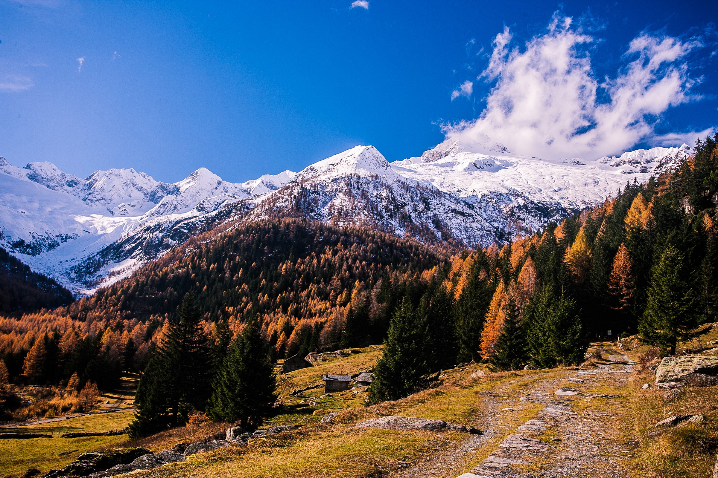 Valtellina - Valmalenco - Chiareggio