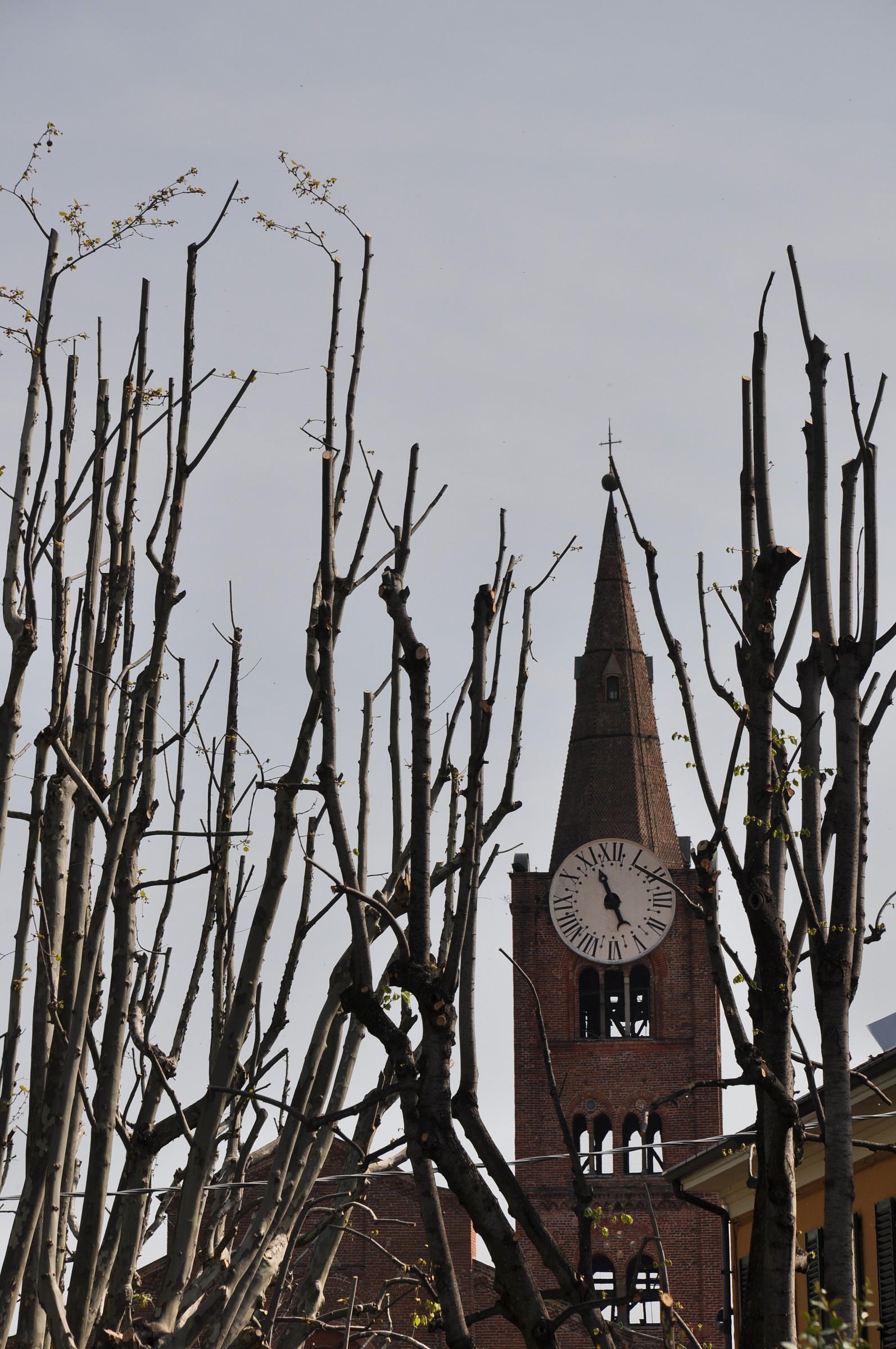 A San Maurizio, Pinerolo