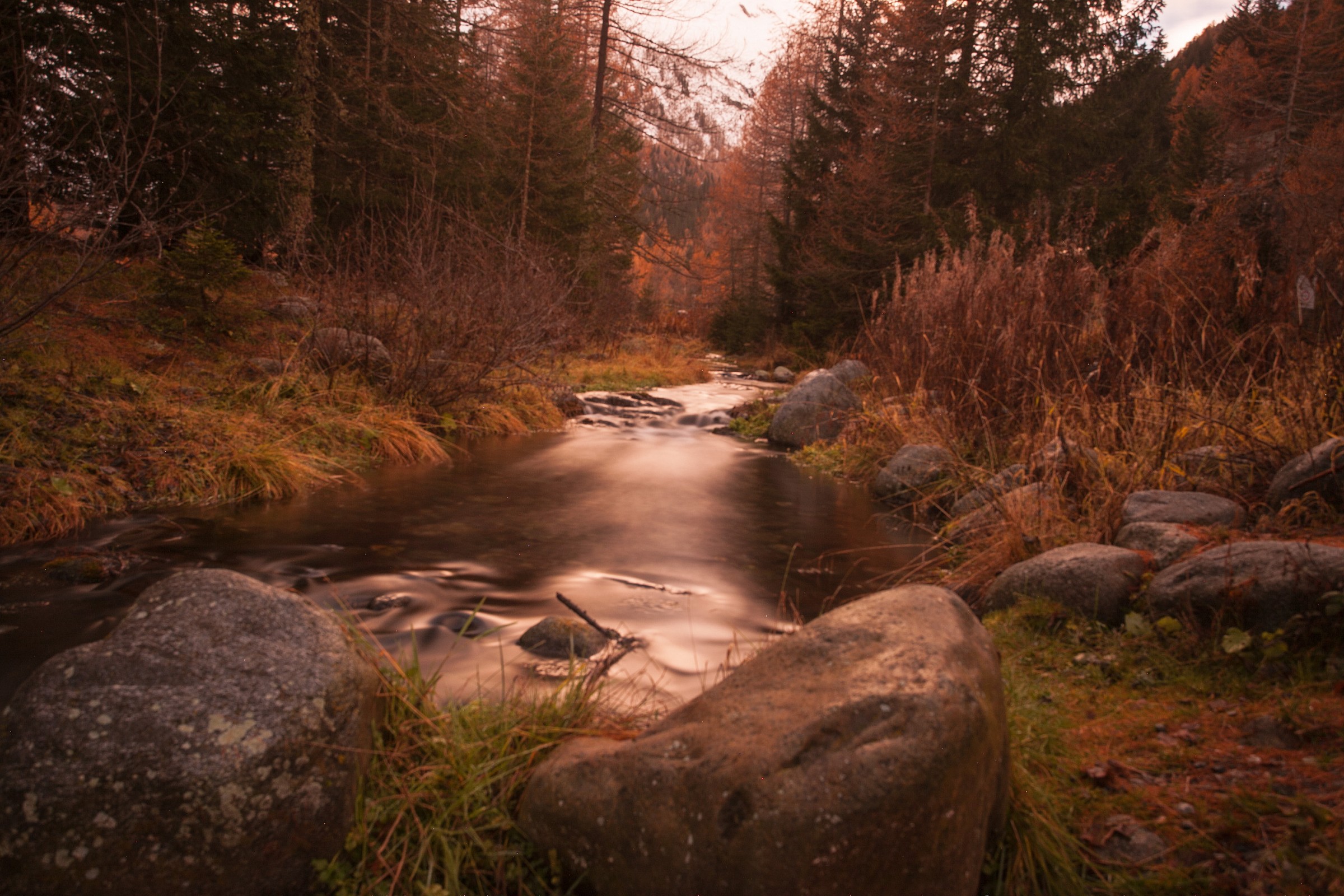 Valtellina - Valmalenco - Chiareggio