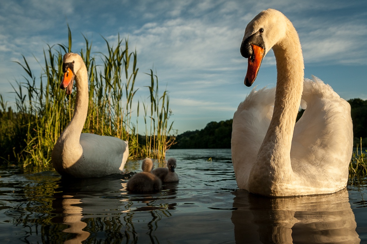 Prima di tutto la famiglia