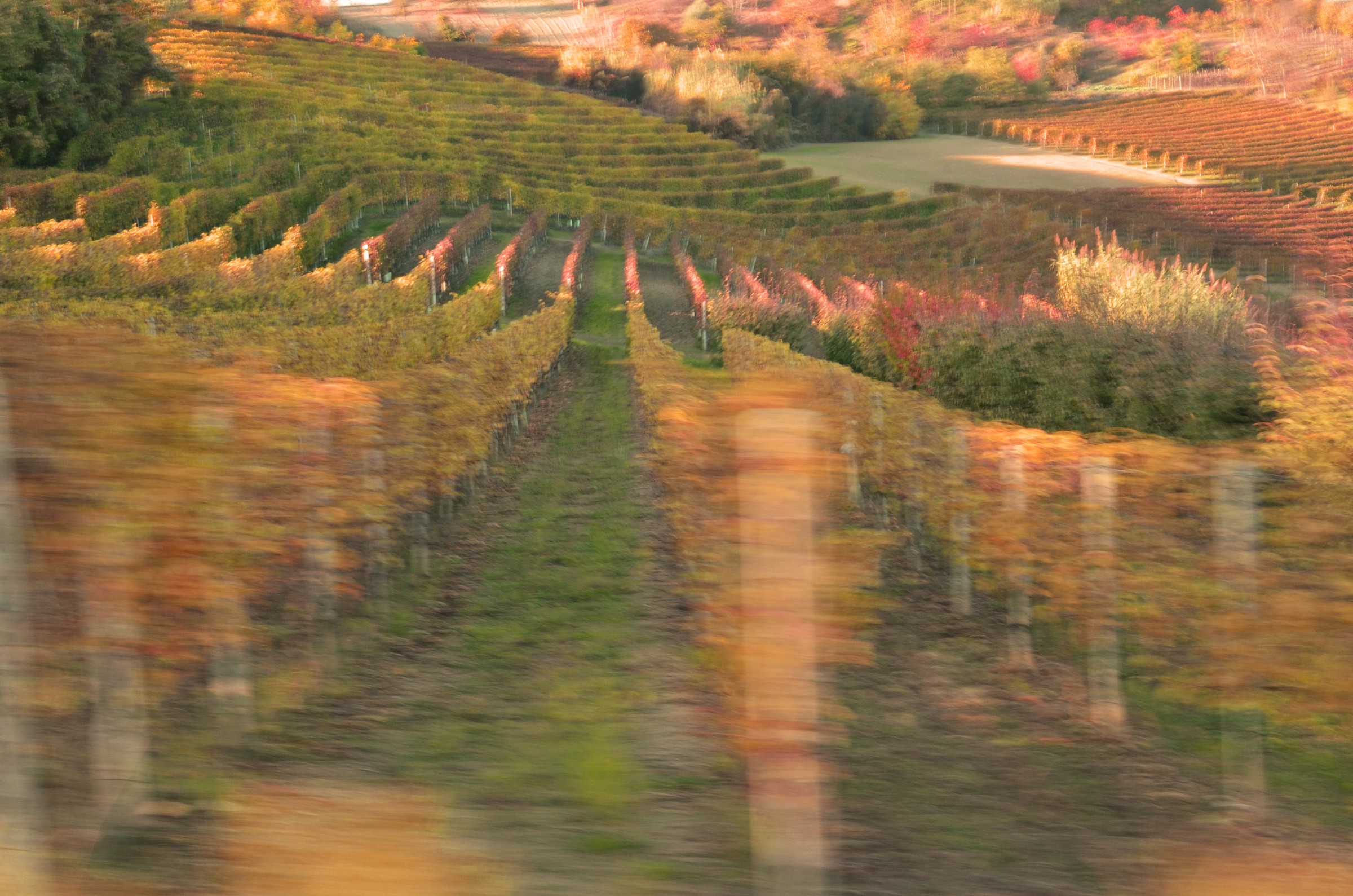 passando per il Monferrato