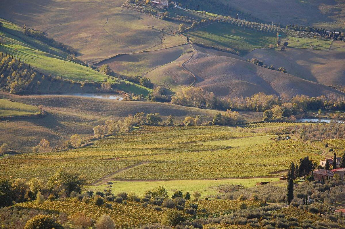 Autunno in Val d'Orcia