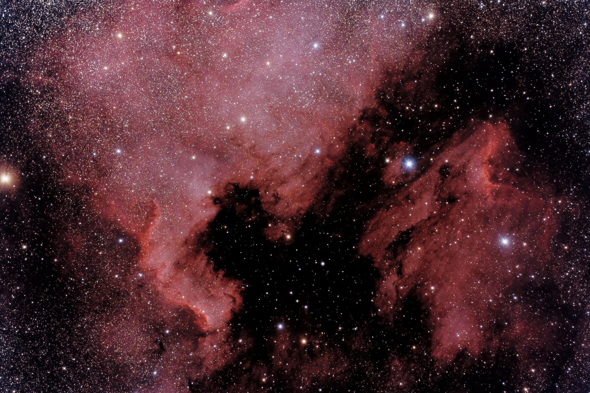 Nord America e Pellicano