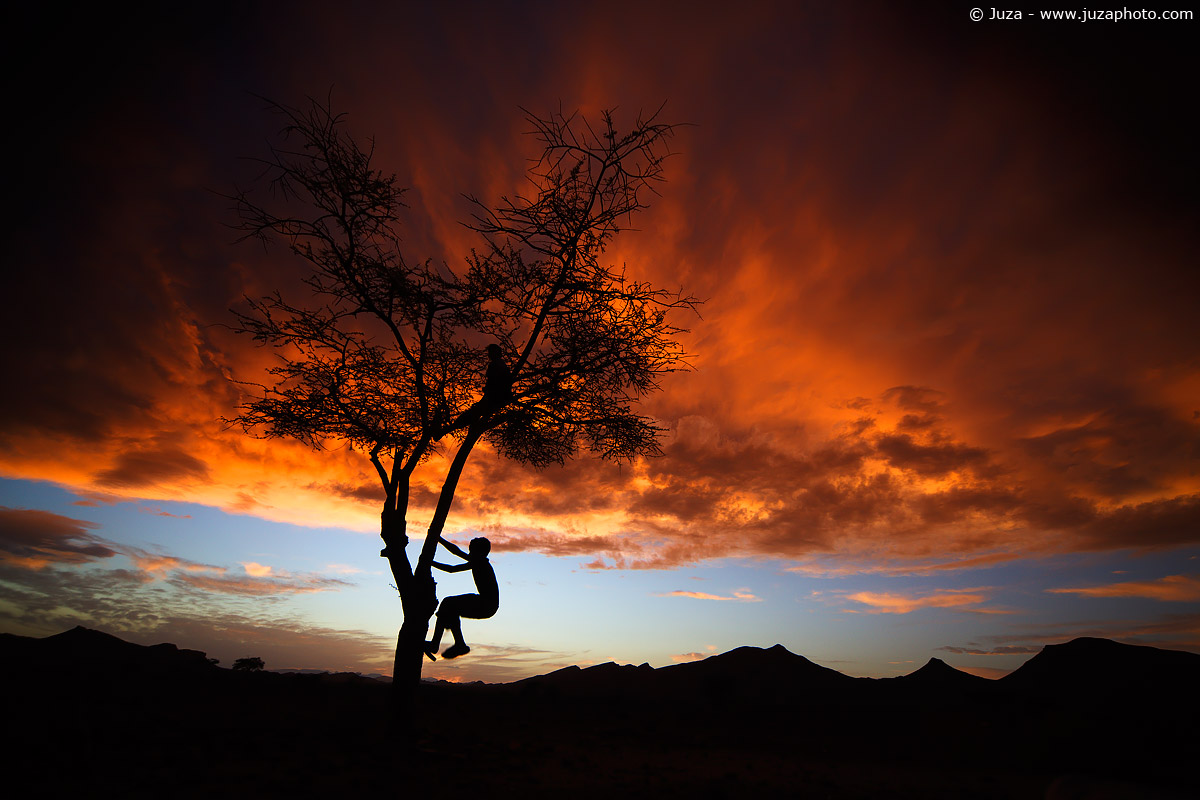 Albero e ragazzini al tramonto, 013307