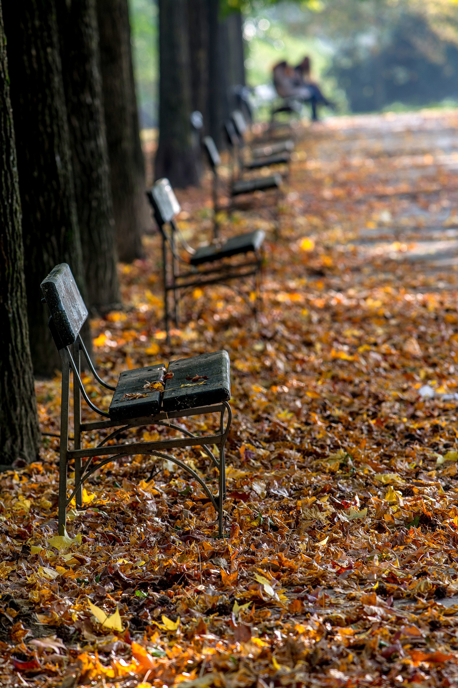 prospects Autumnal ..............