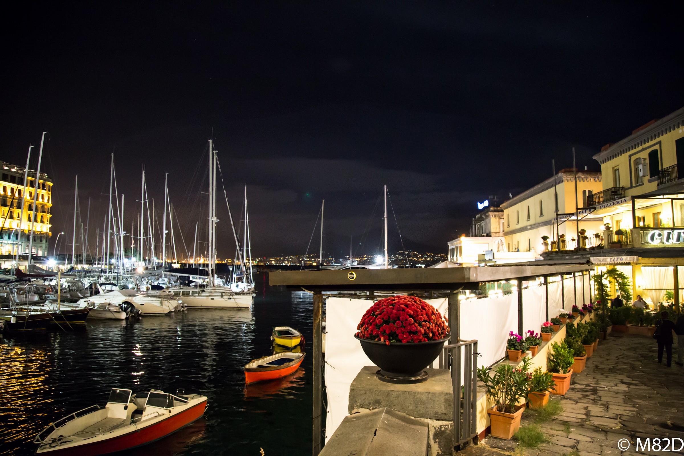 Scorcio di Vesuvio dal Borgo Marinaro.