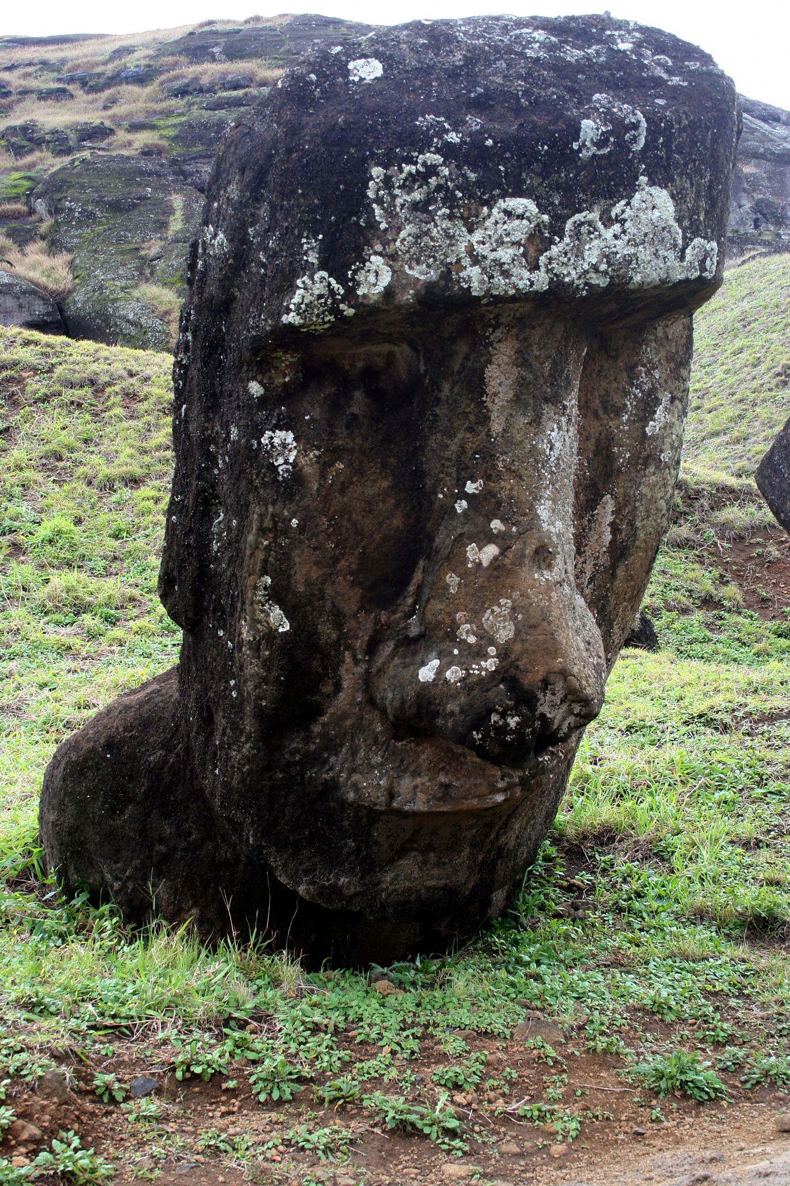 Testa di Moai