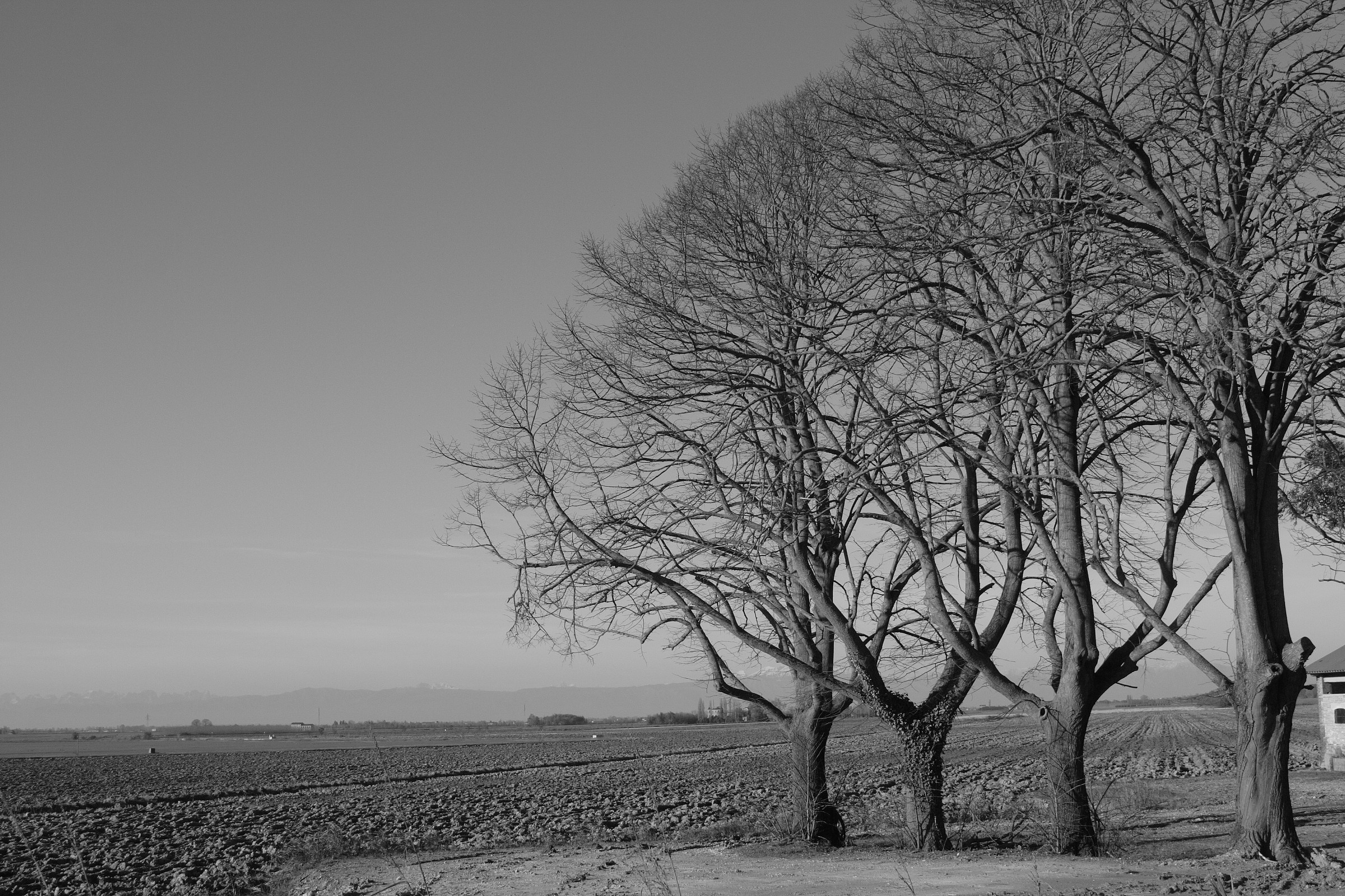 autumn in the countryside