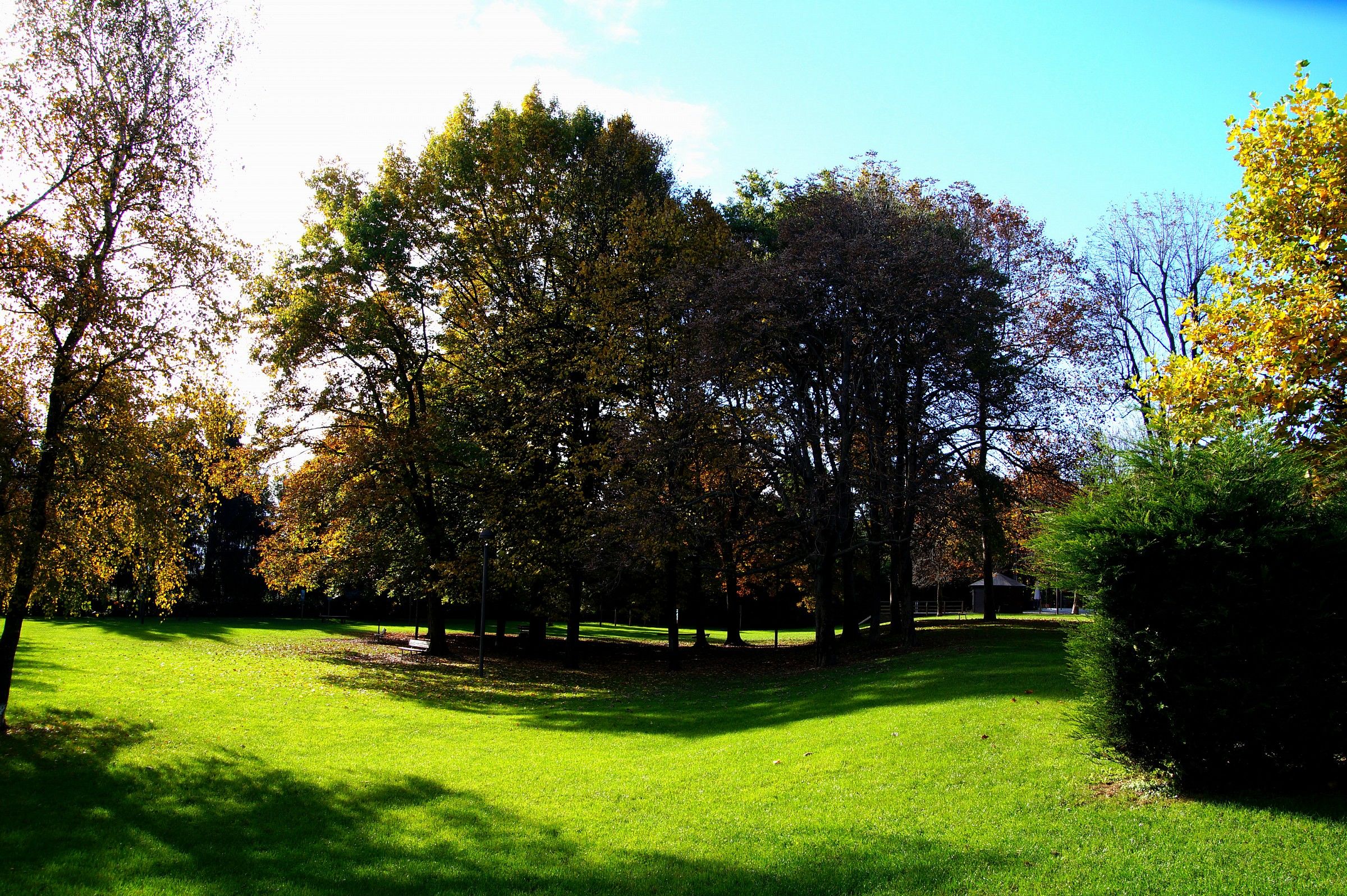 Parco cittadino