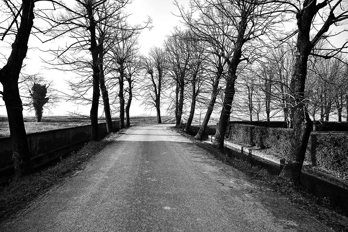 take the long way home...