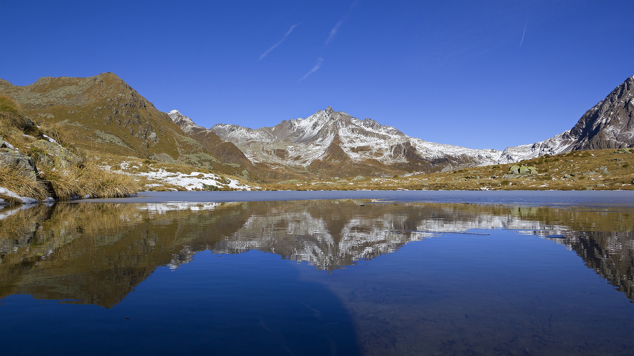 Top Gavia in the mirror