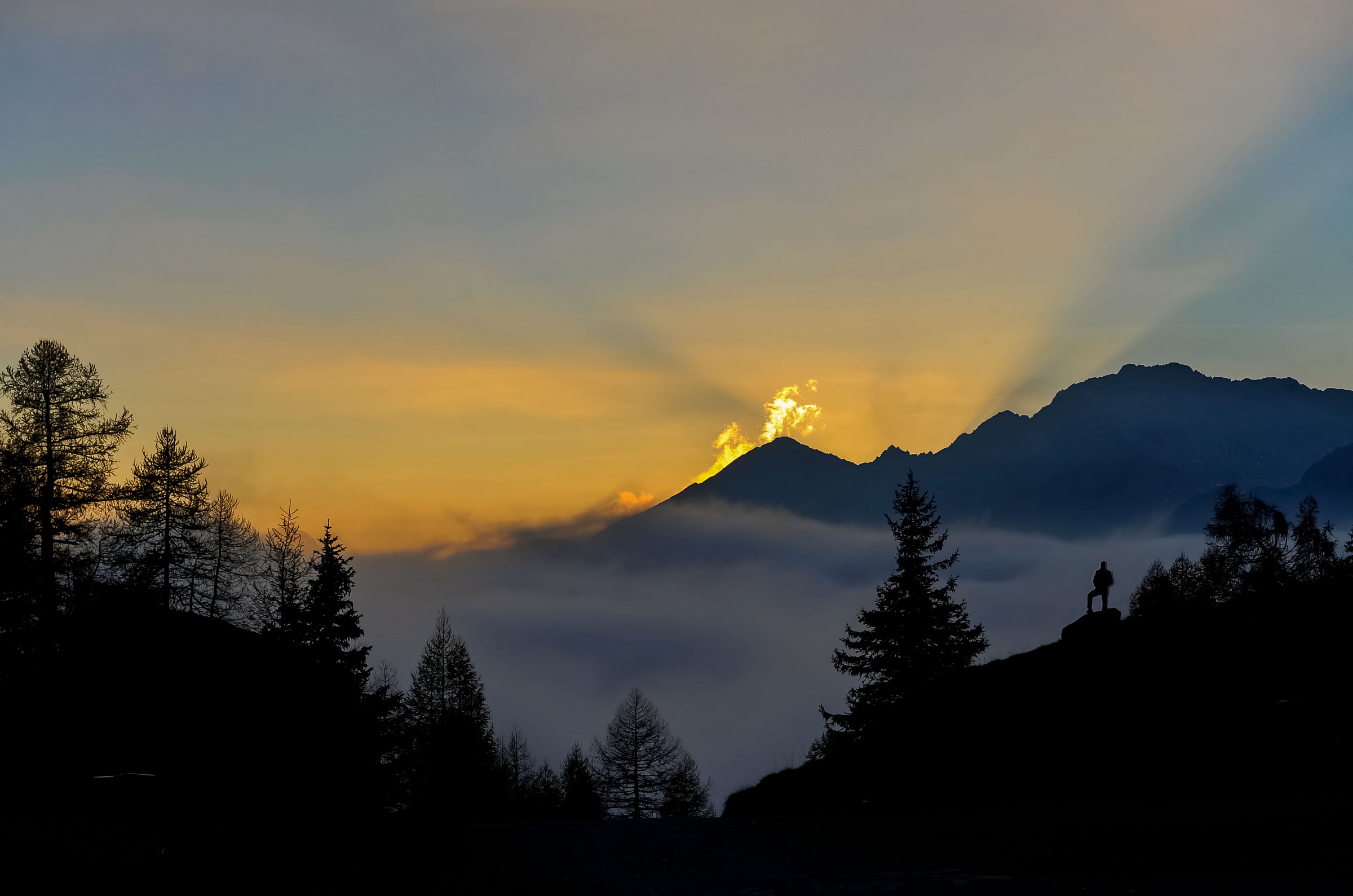 C'è chi lavora e chi si gode il paesaggio