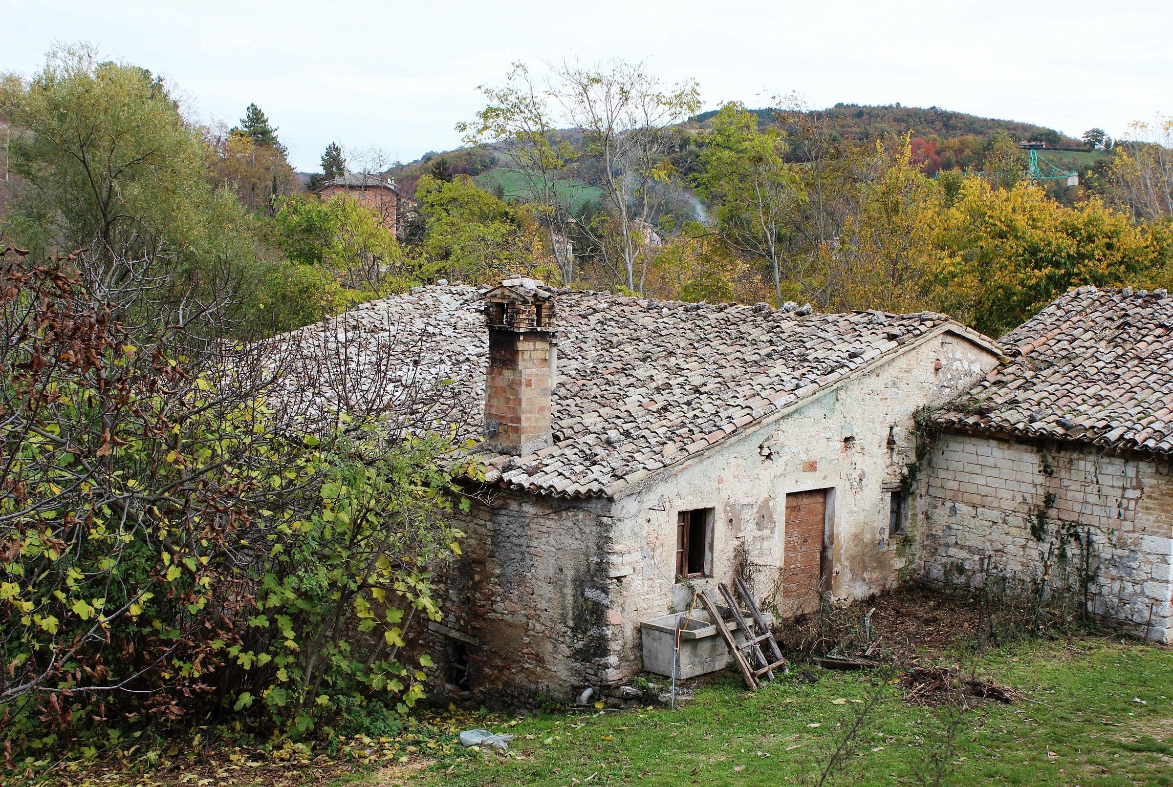 I colori dell'autunno