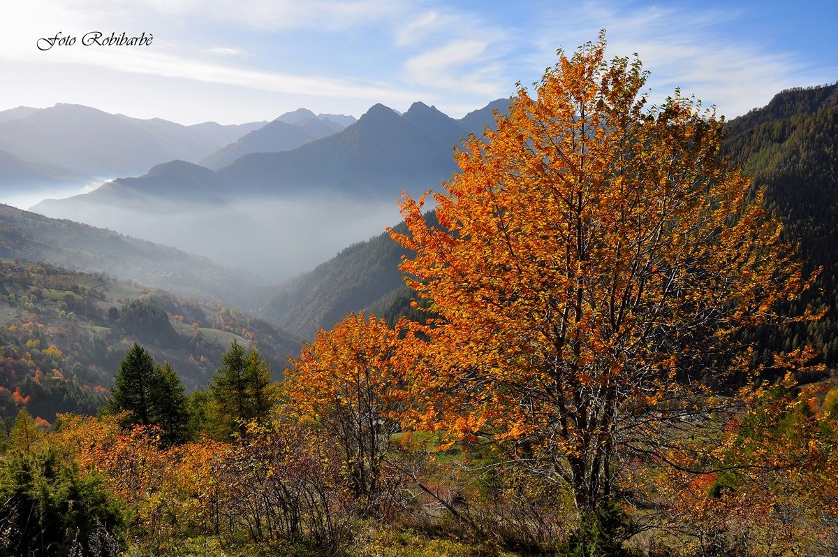 Gioia e malinconia....