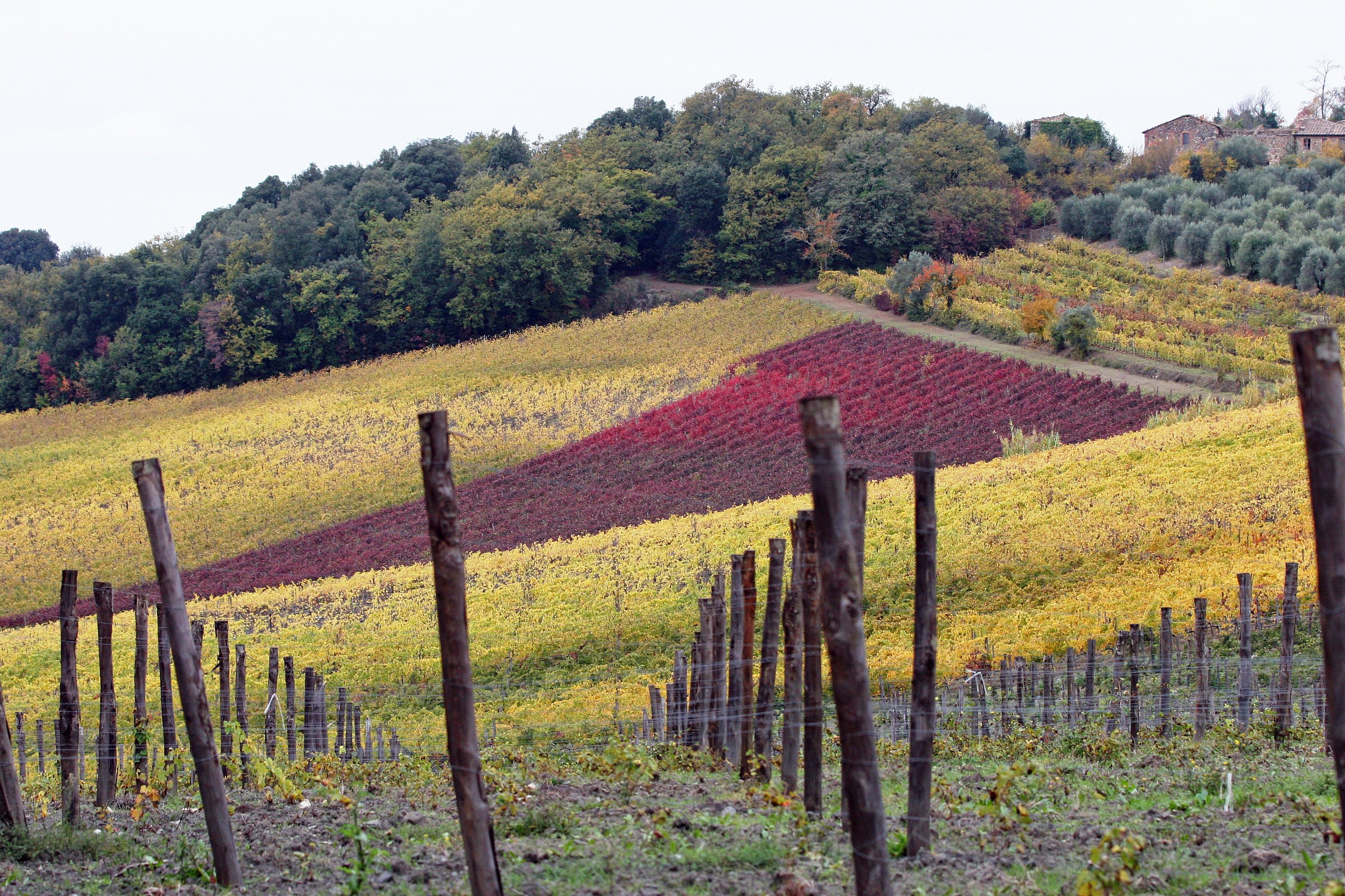 Il triangolo rosso....