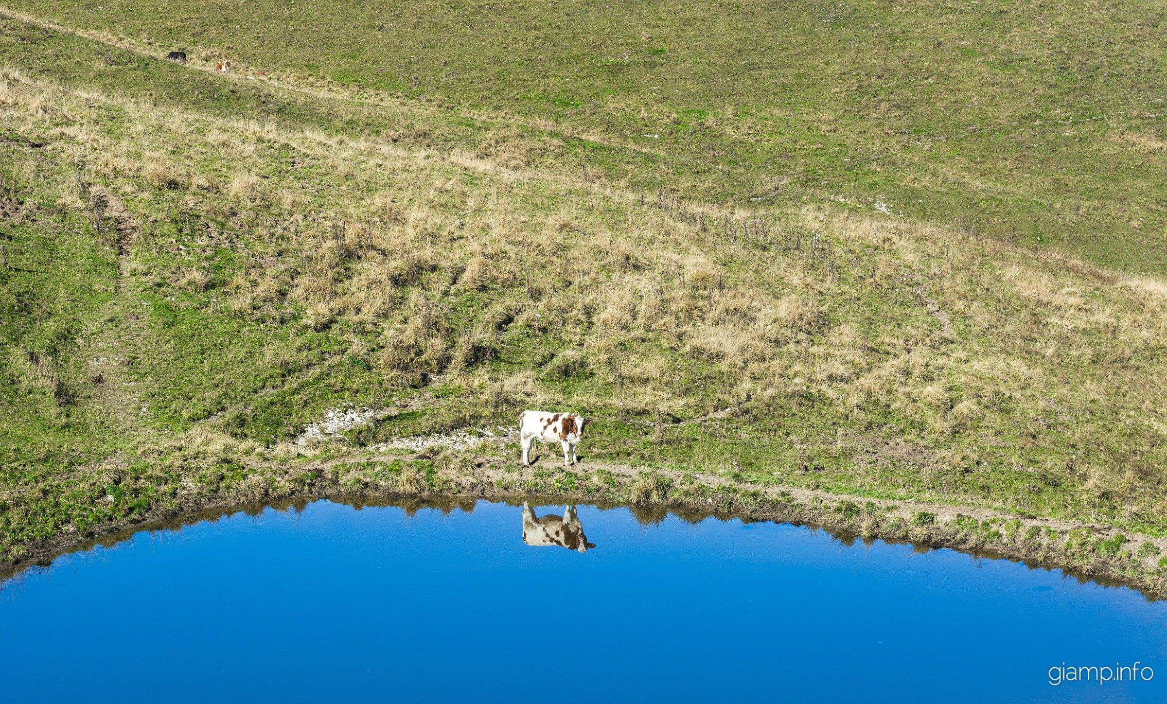 Specchio specchio delle mie brame