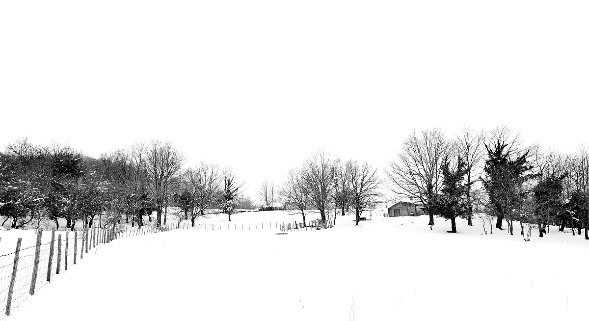 Snow on nebrodi - Caronia (Me)