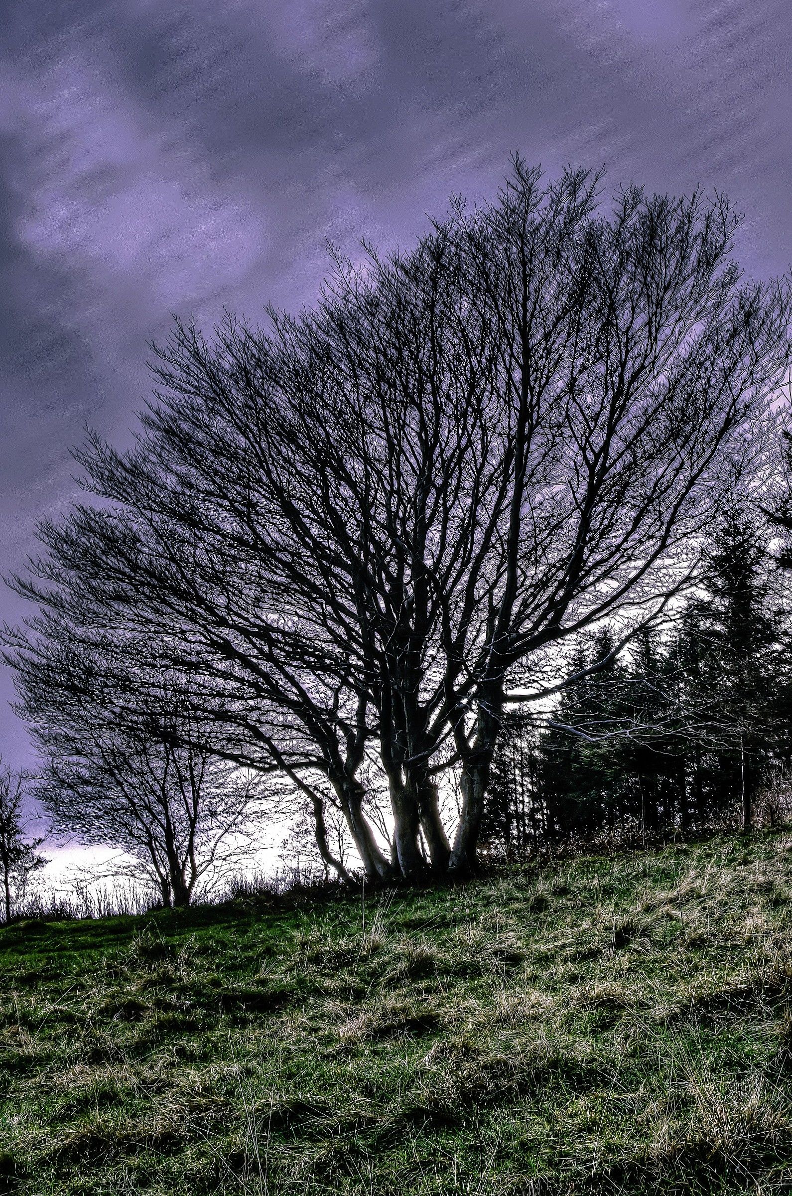 the arrival of the evening, on a rainy autumn