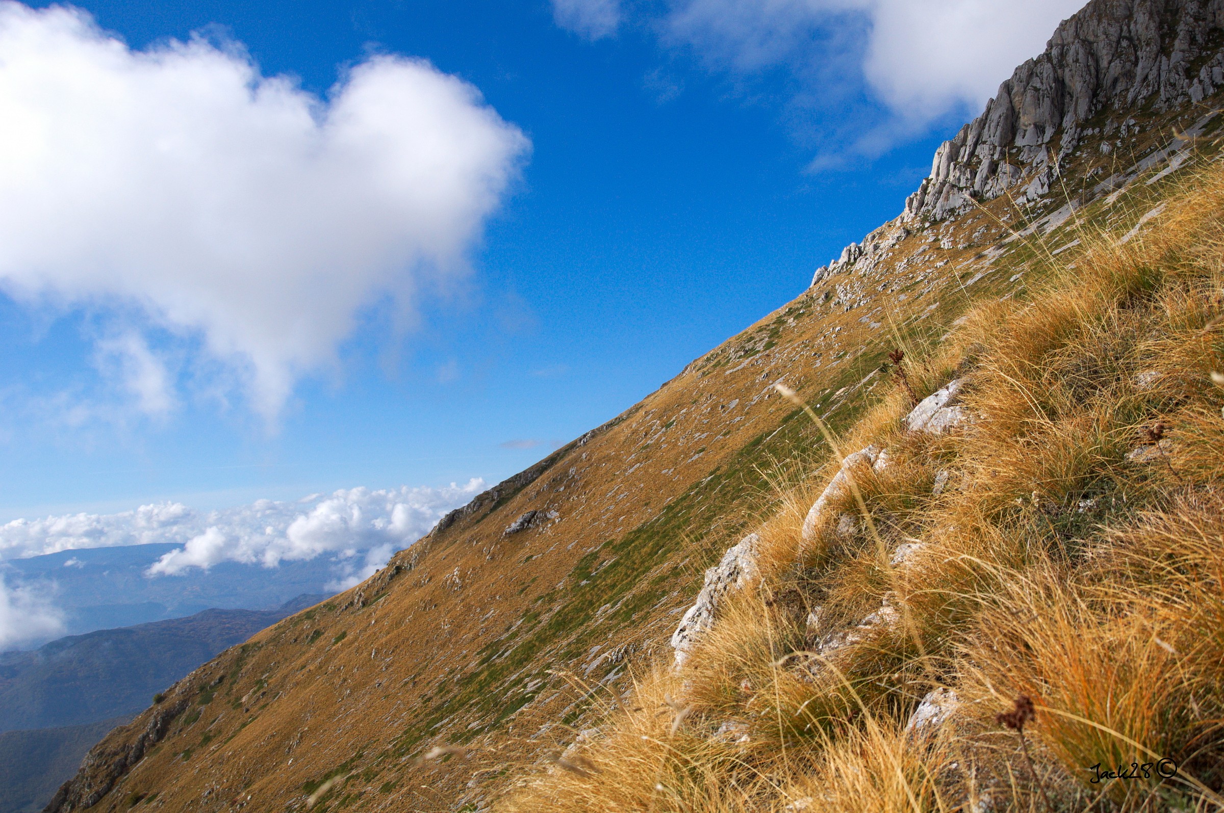 fifty fifty between heaven and earth ......