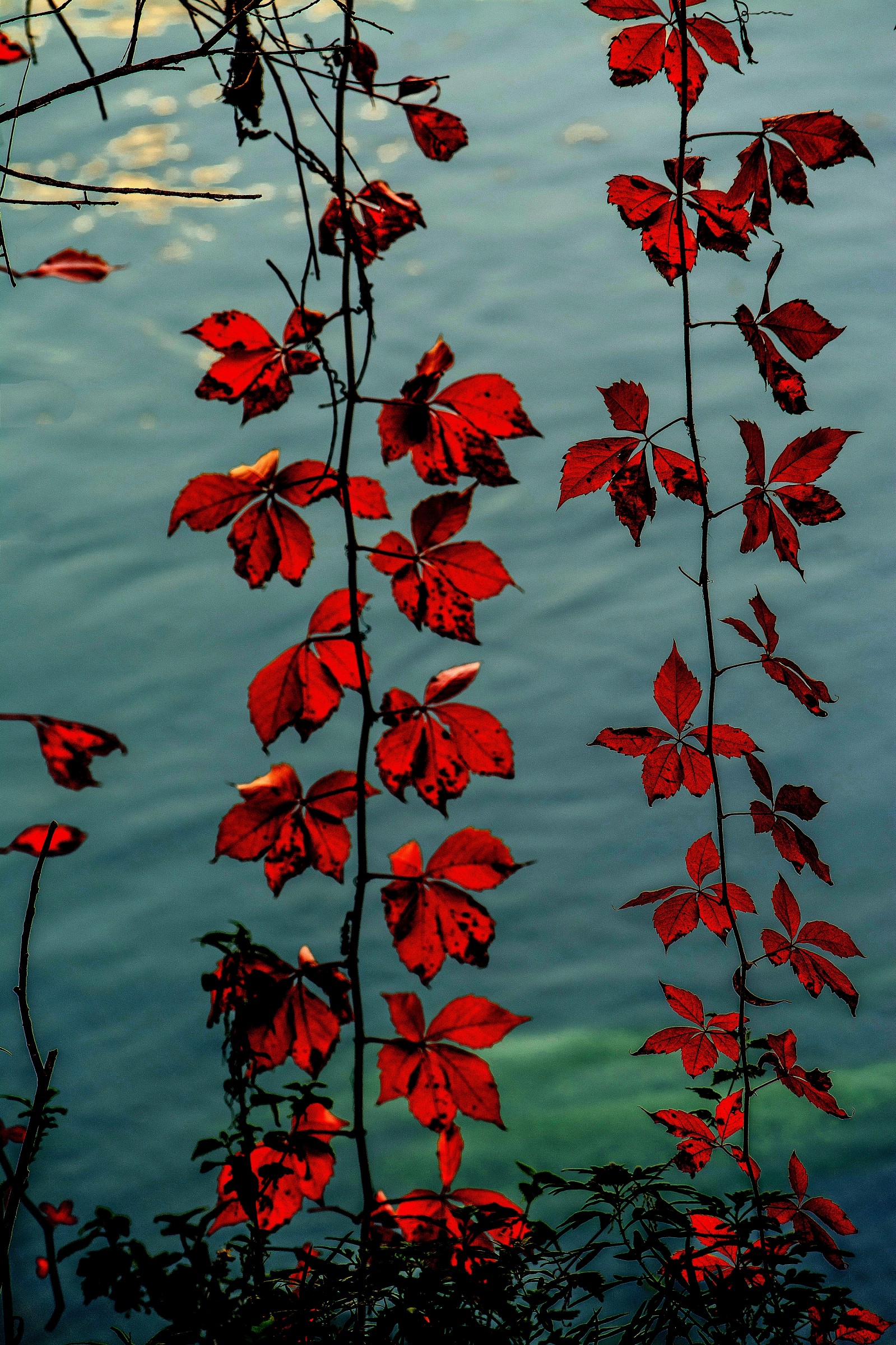 last light on the river ...............