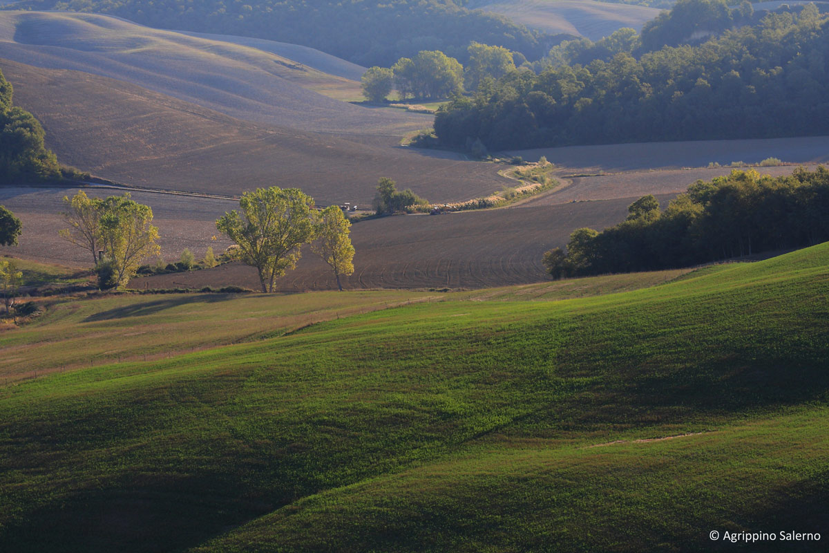 Crete Senesi