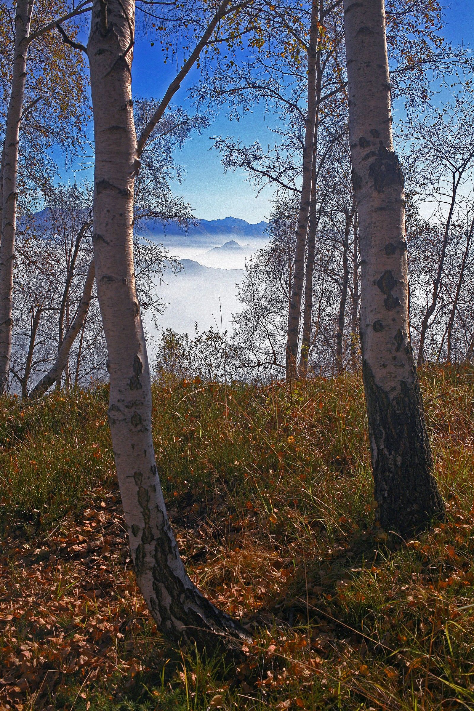 Autumn in the valleys of Cuneo 1