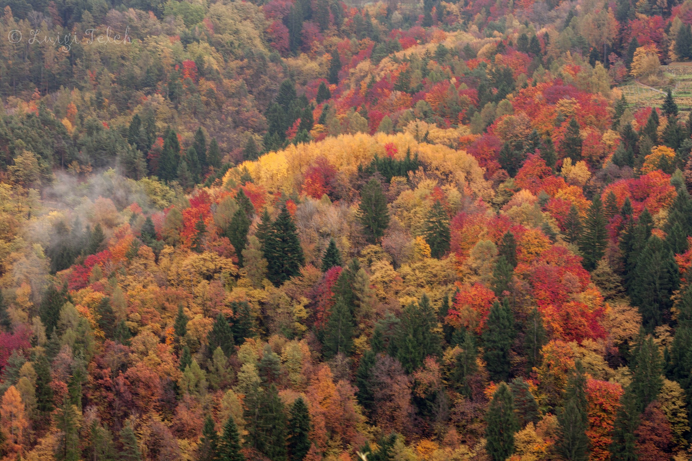 colors in the valley