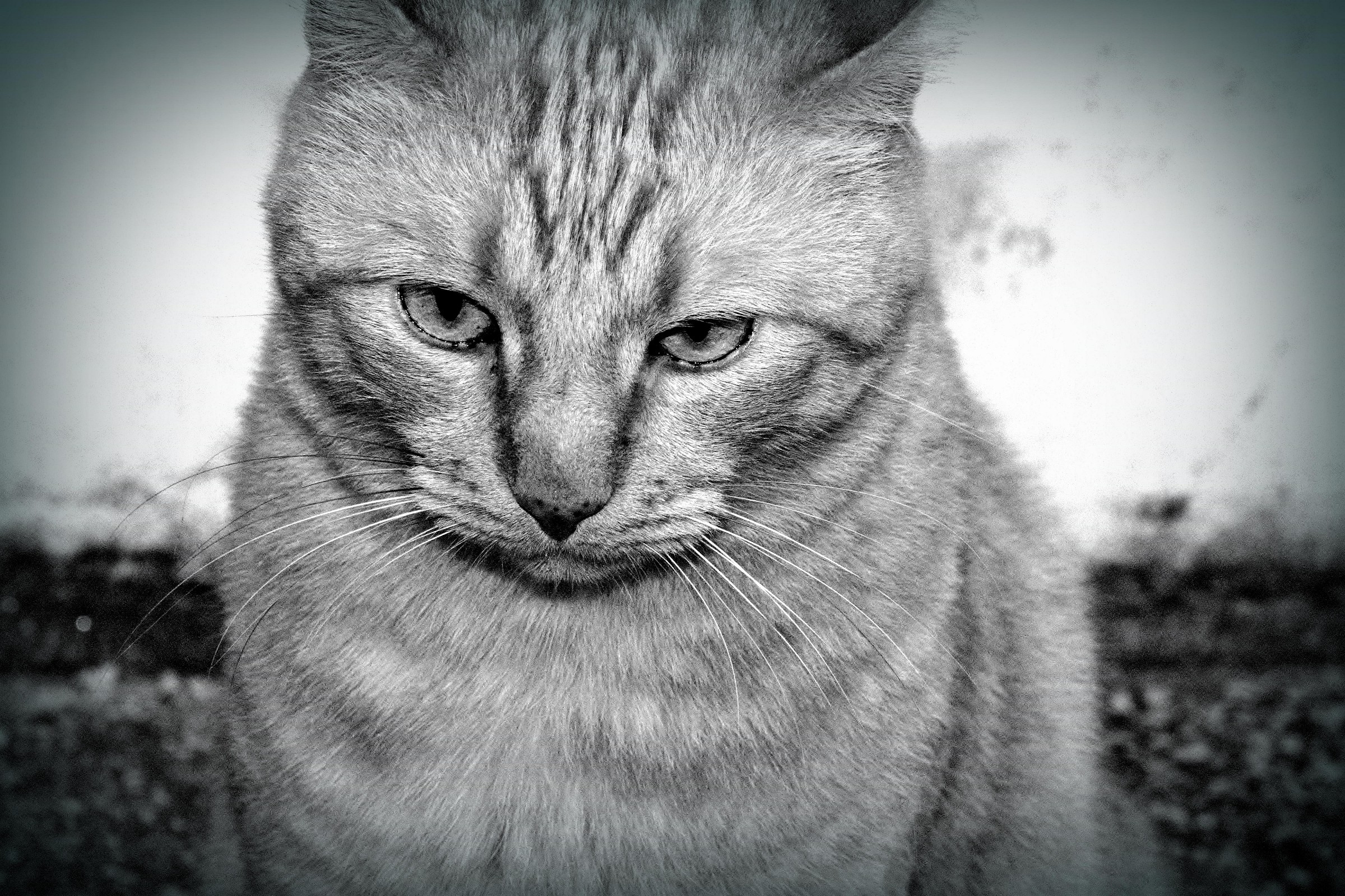 he's getting angry...