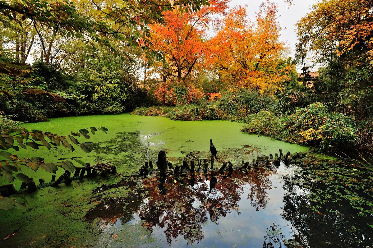 I colori dell'autunno