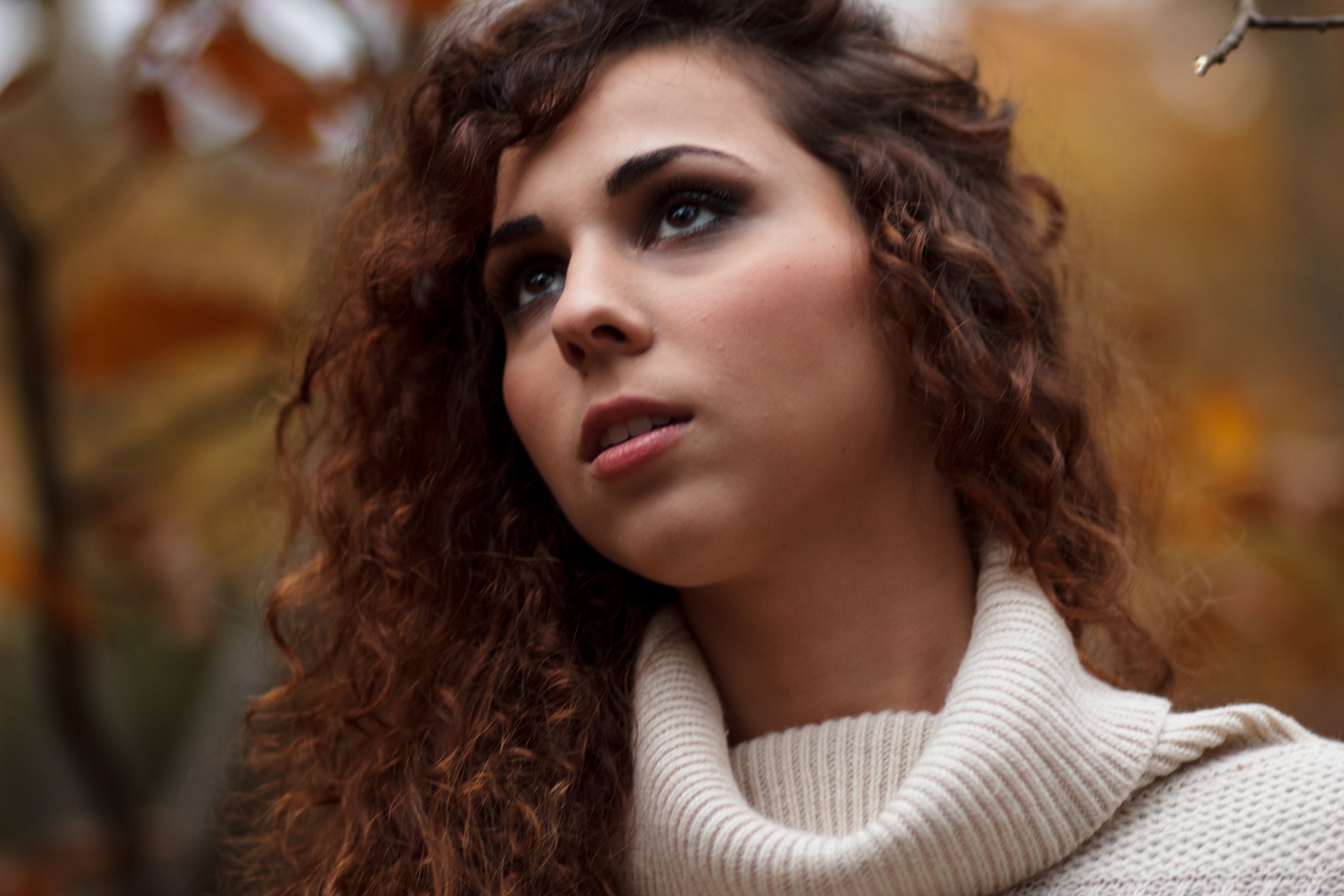 in the autumn forest