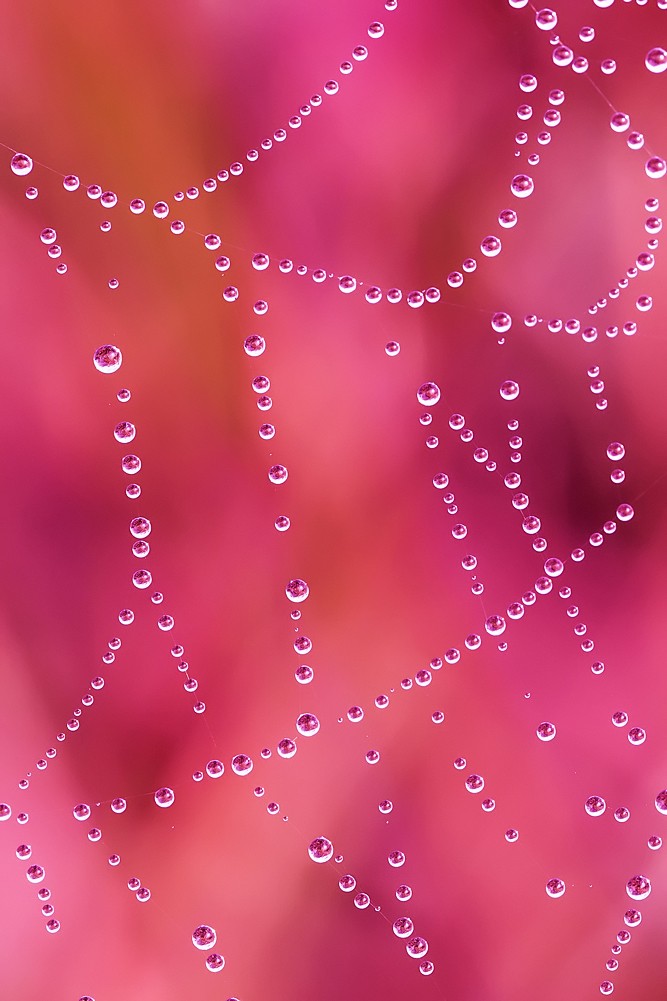 Drops & colors