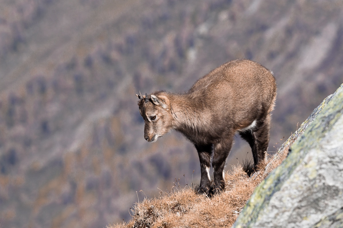 In contemplation ...