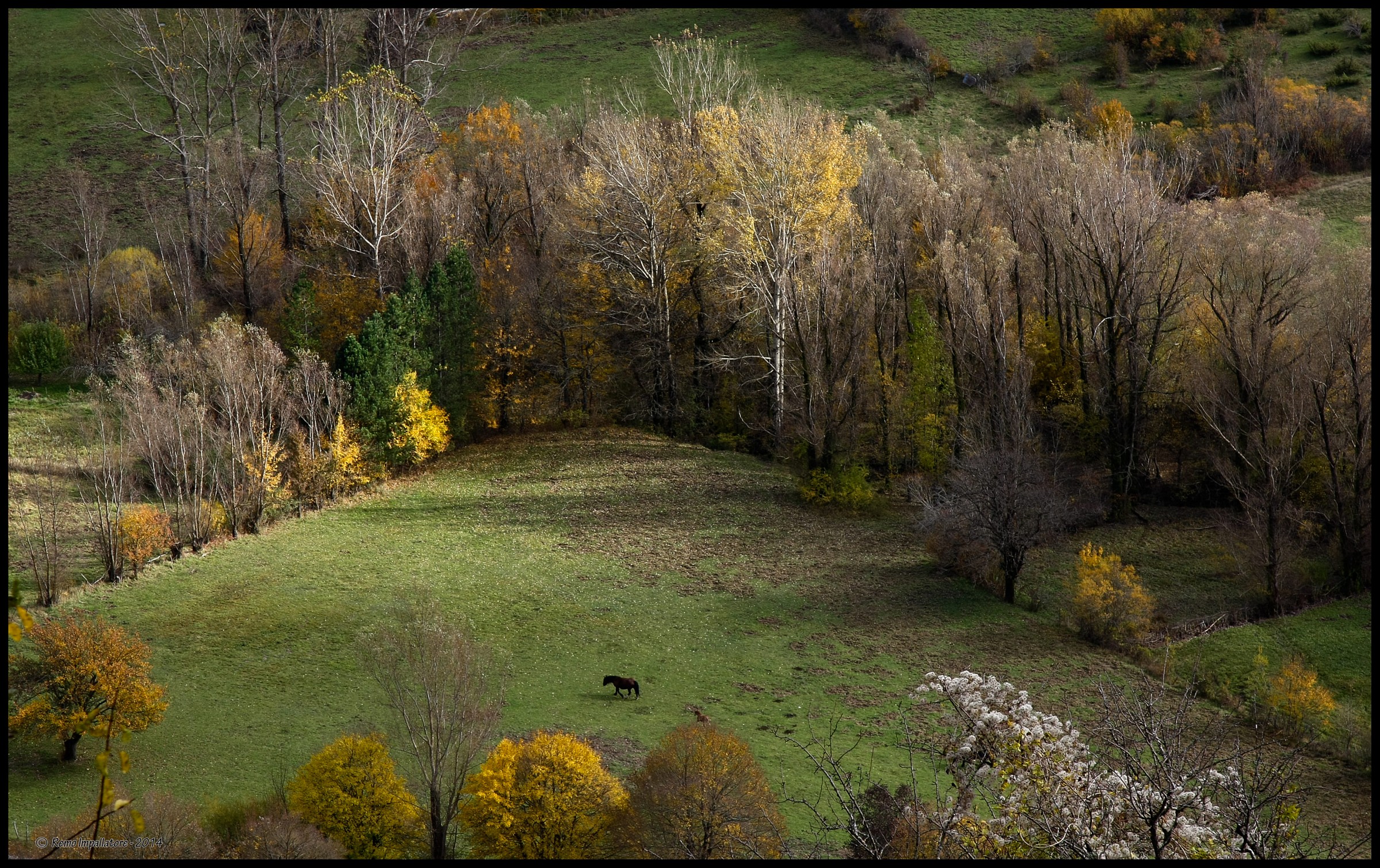 Kitchen confidential ...