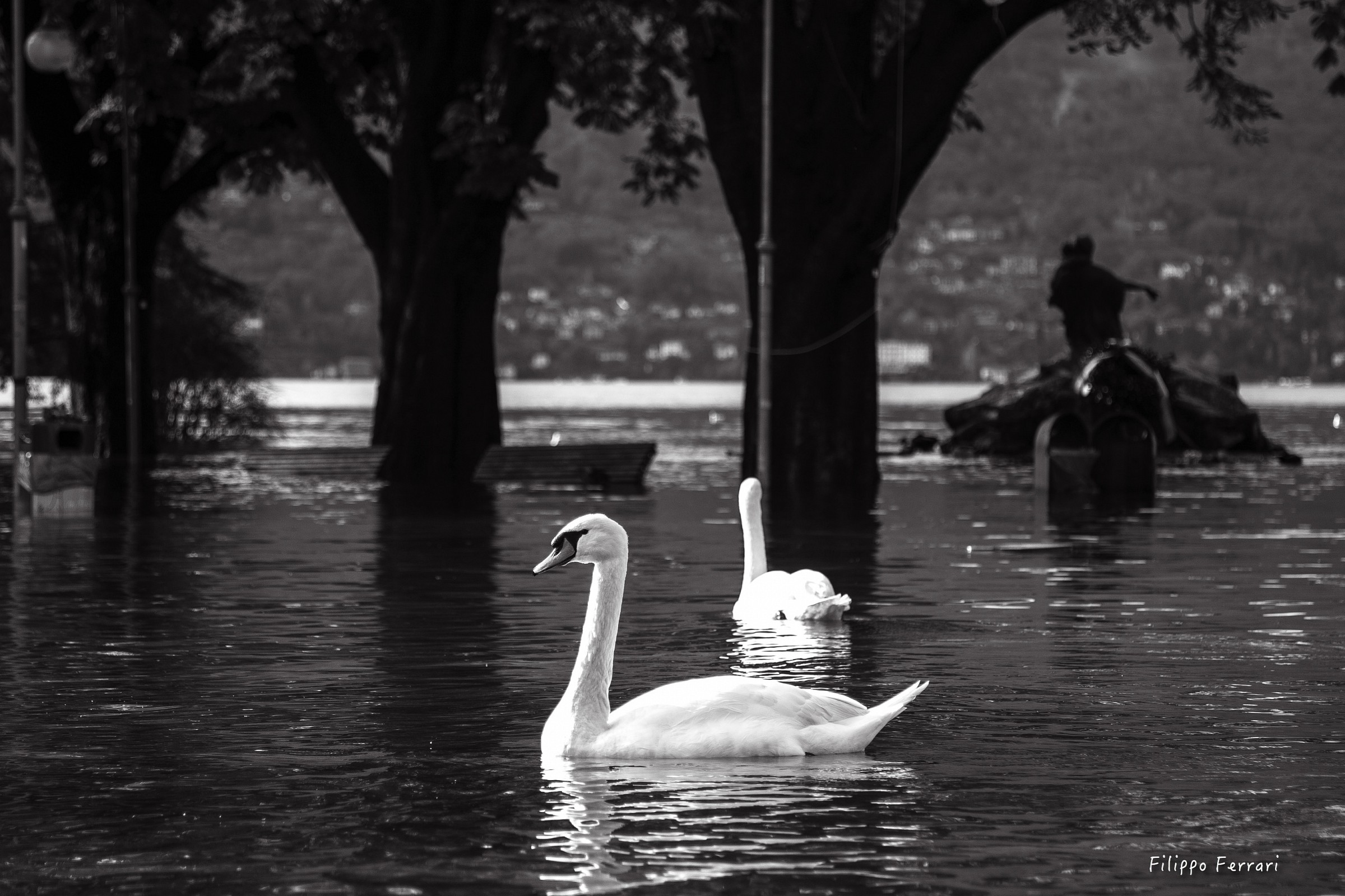 Full of Lake Maggiore