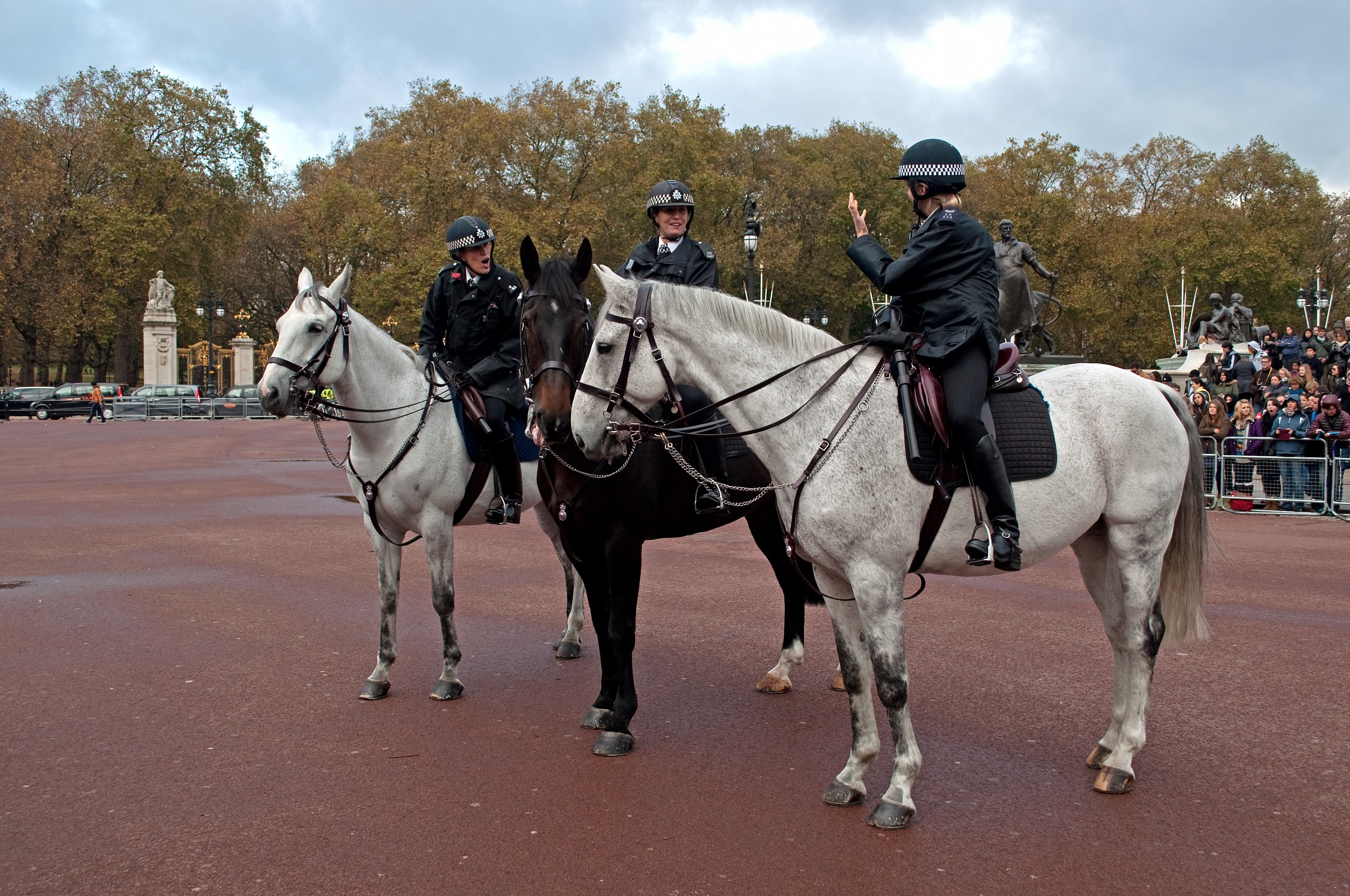 Quattro chiacchiere in servizio