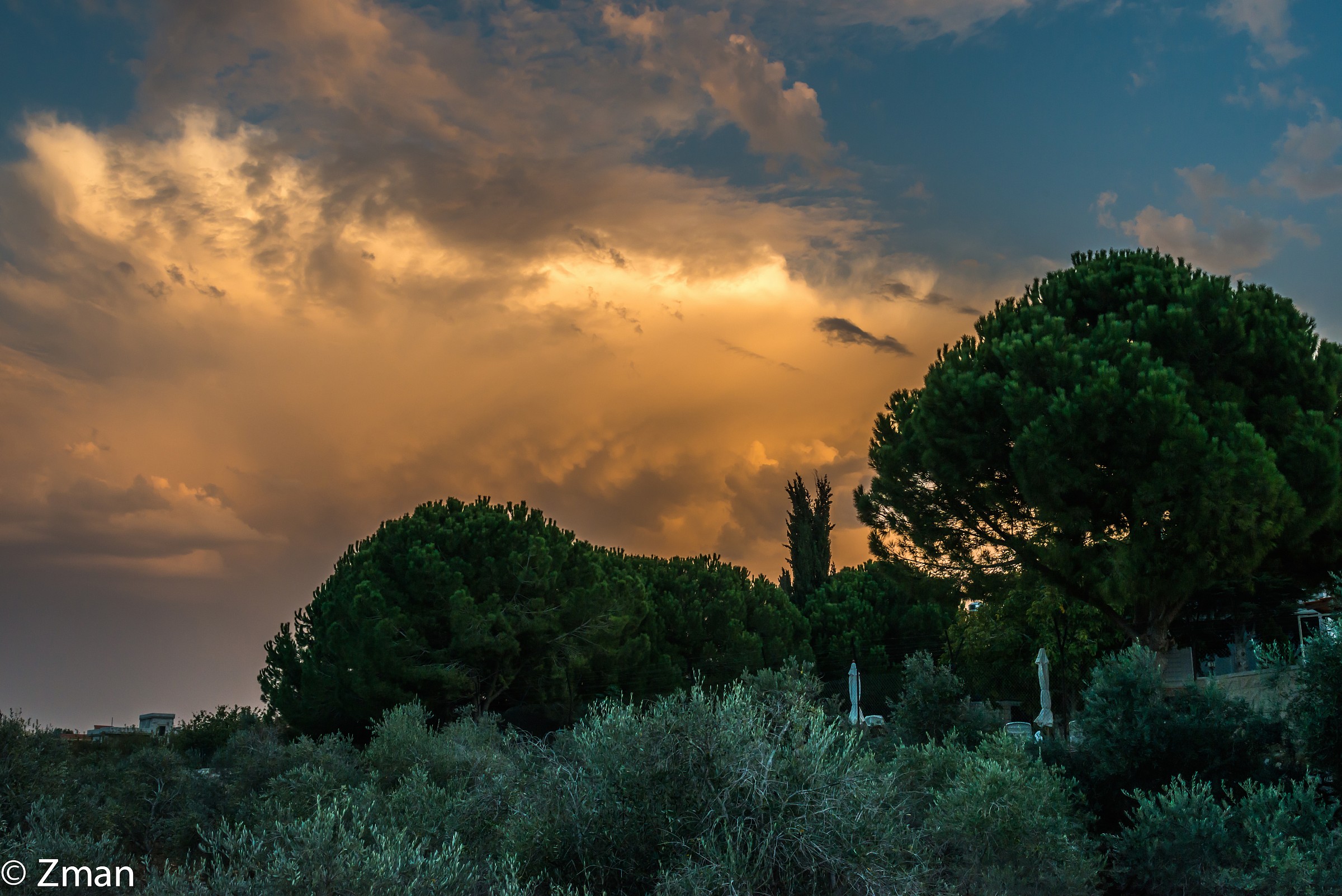 Sunset over the Olive trees