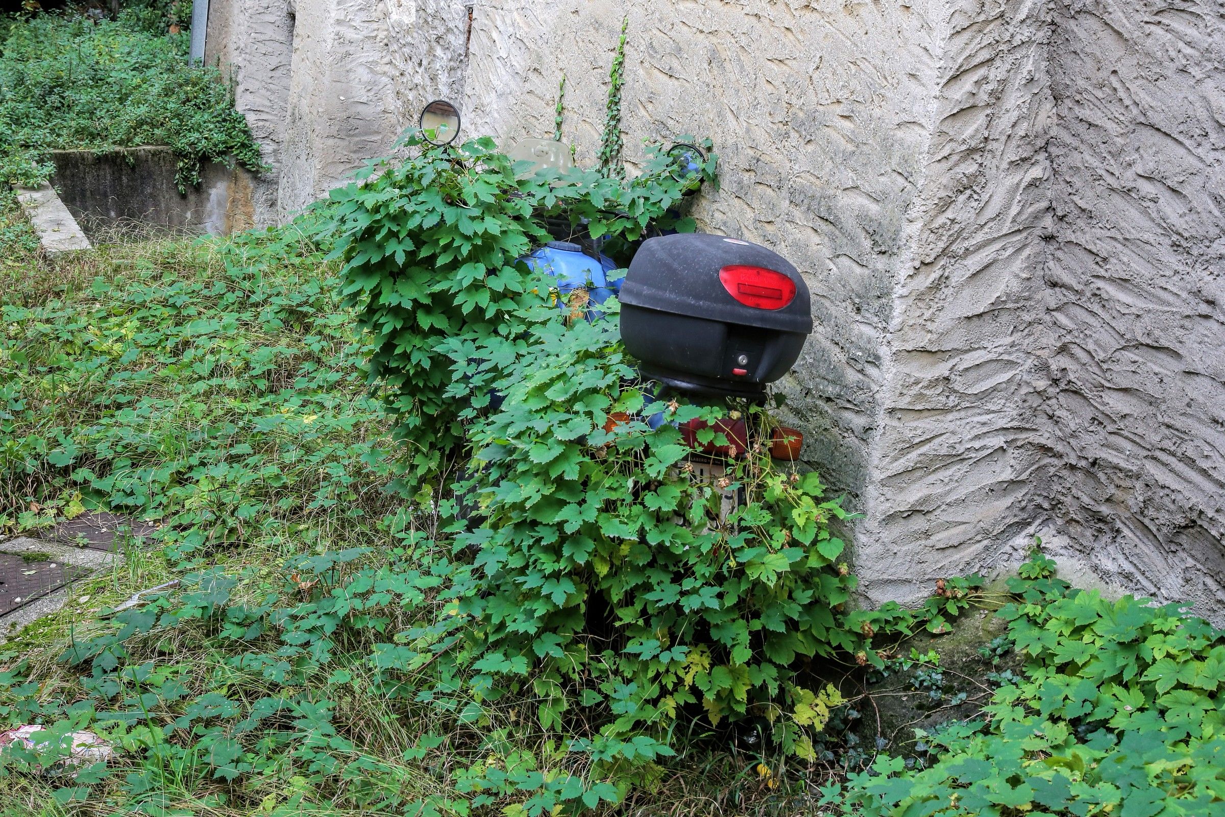 parcheggio solo un momento e vado via subito