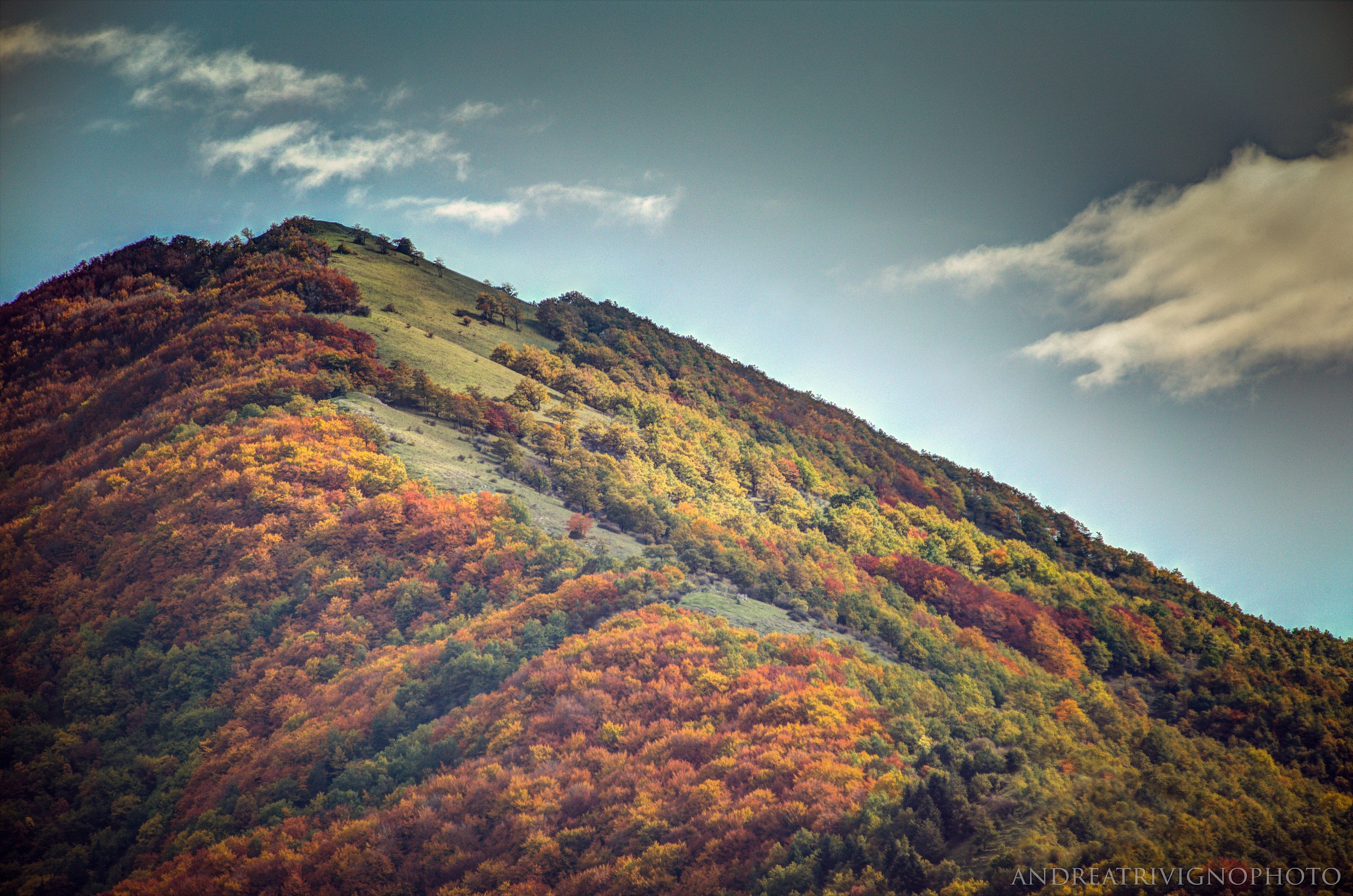 Colors In The Mountains